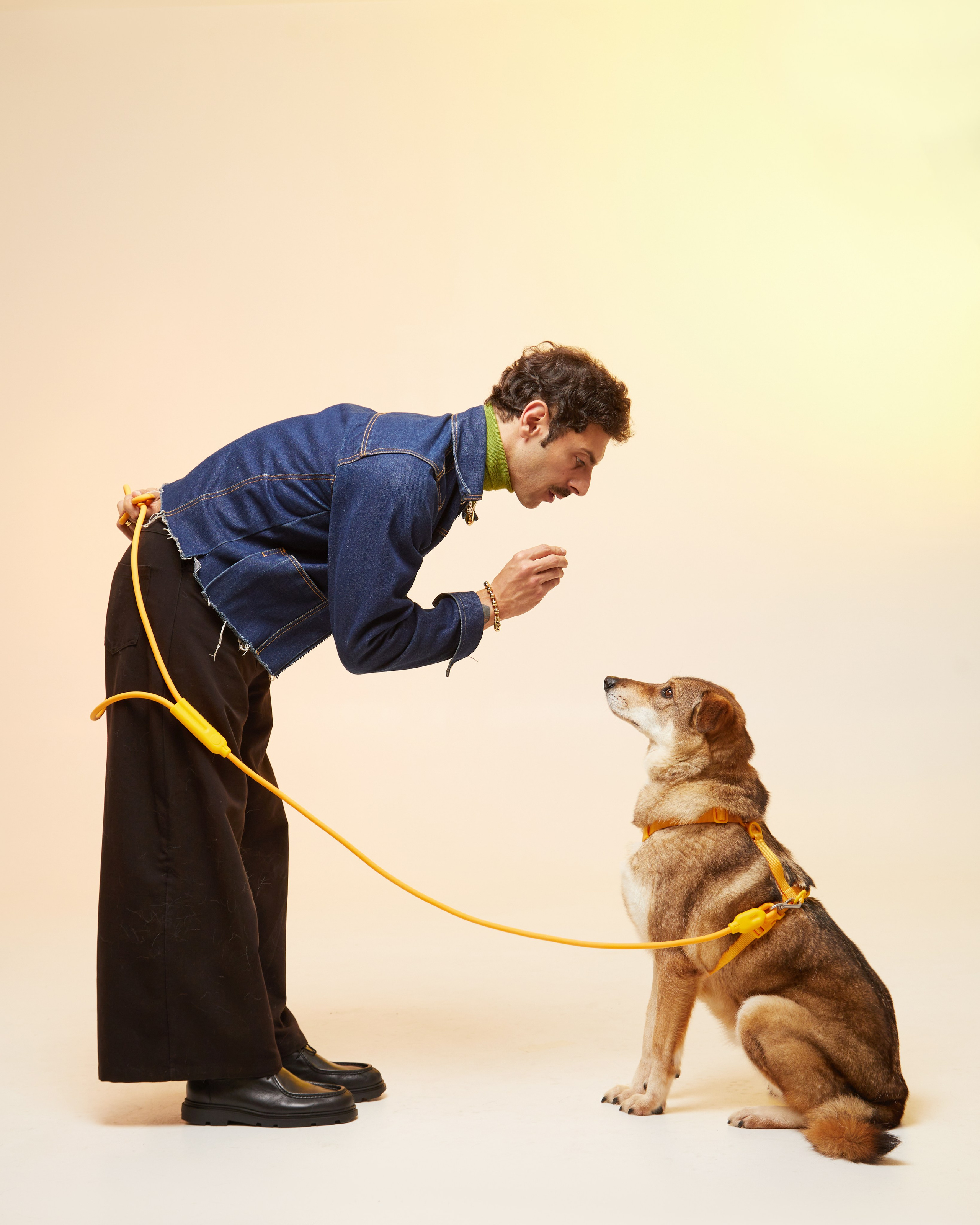 Фонд «Ника» и UNOde50. Pets Photography / Фотограф Собак