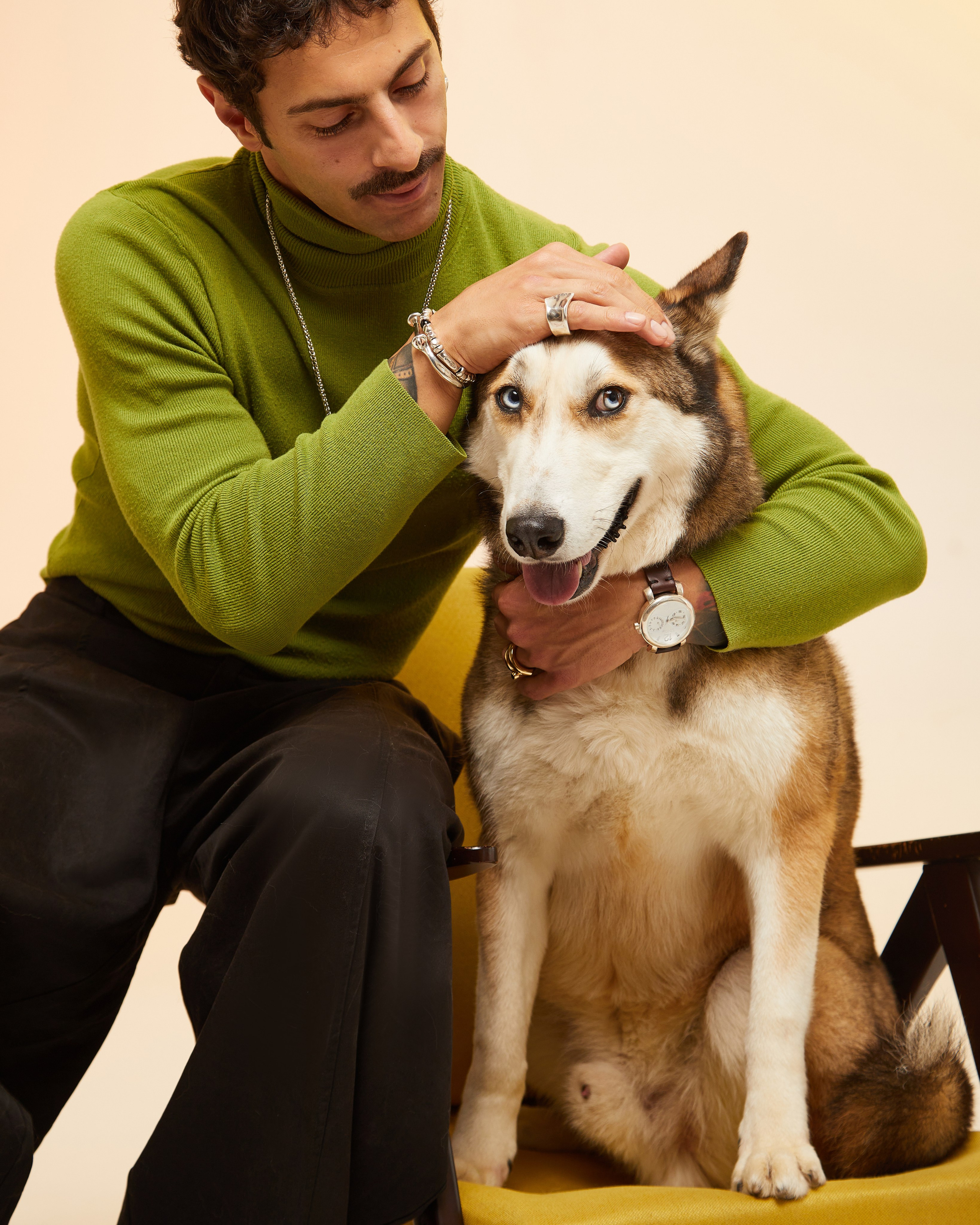Фонд «Ника» и UNOde50. Pets Photography / Фотограф Собак