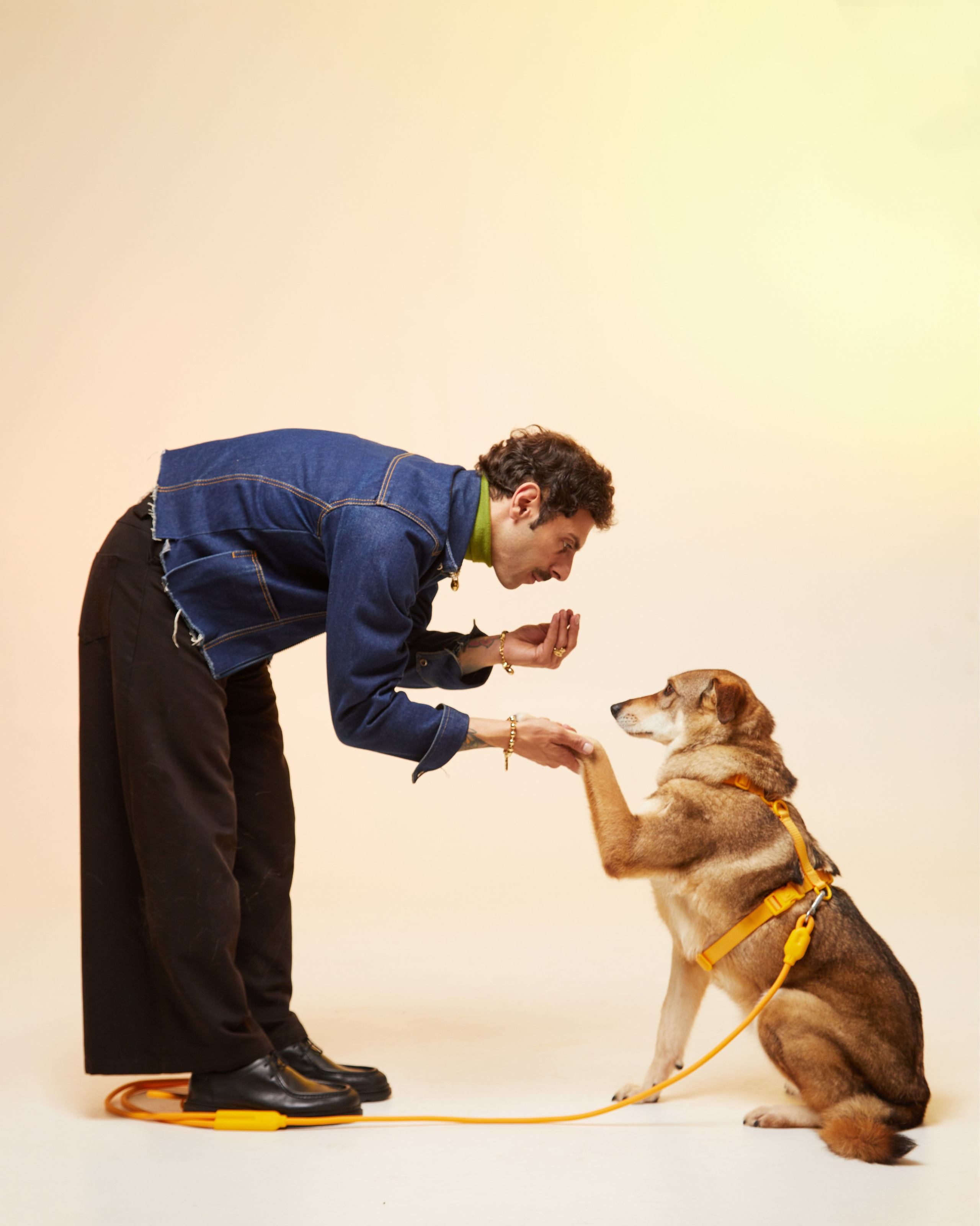 Фонд «Ника» и UNOde50. Pets Photography / Фотограф Собак