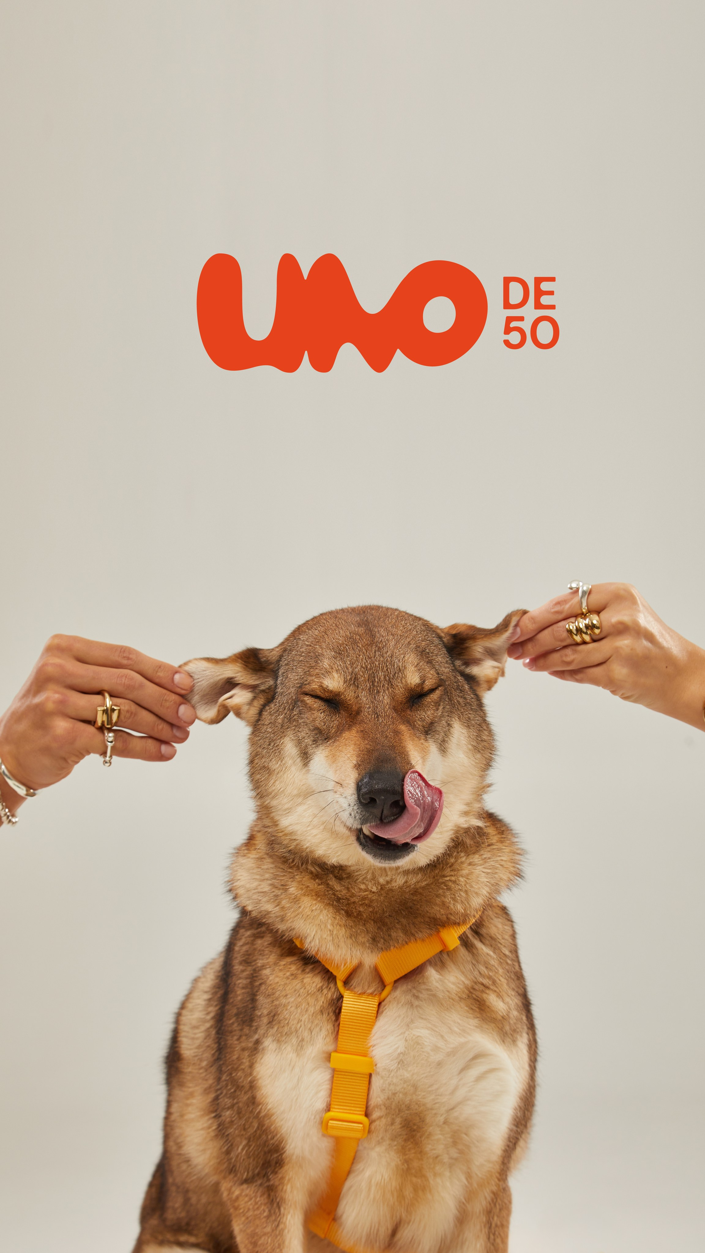 Фонд «Ника» и UNOde50. Pets Photography / Фотограф Собак