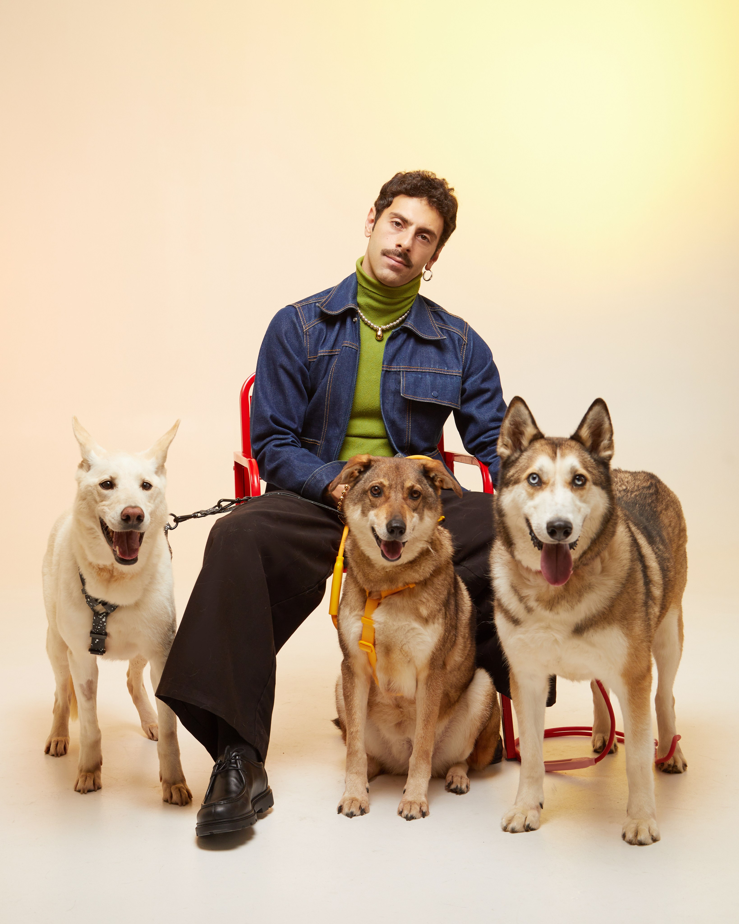 Фонд «Ника» и UNOde50. Pets Photography / Фотограф Собак