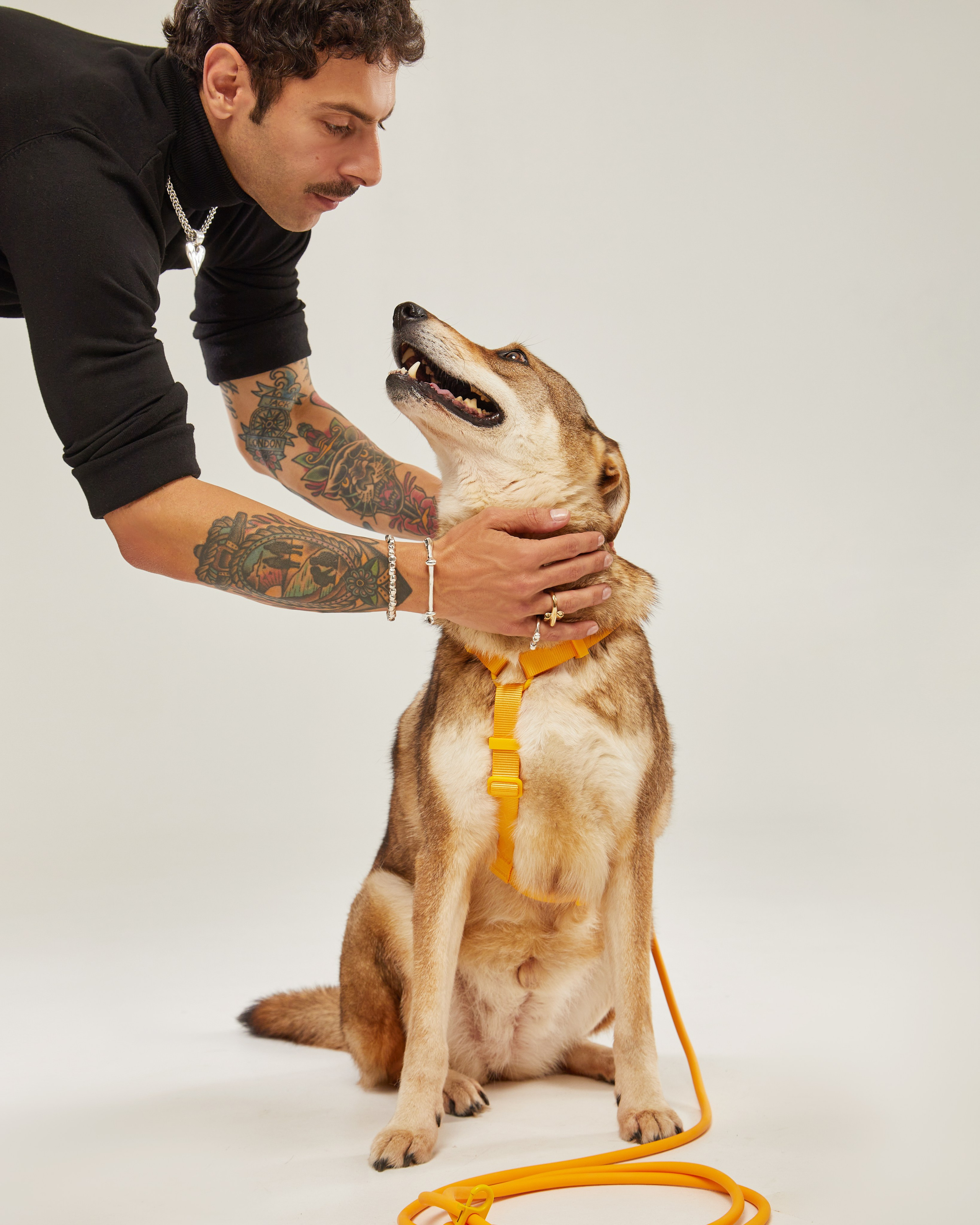Фонд «Ника» и UNOde50. Pets Photography / Фотограф Собак