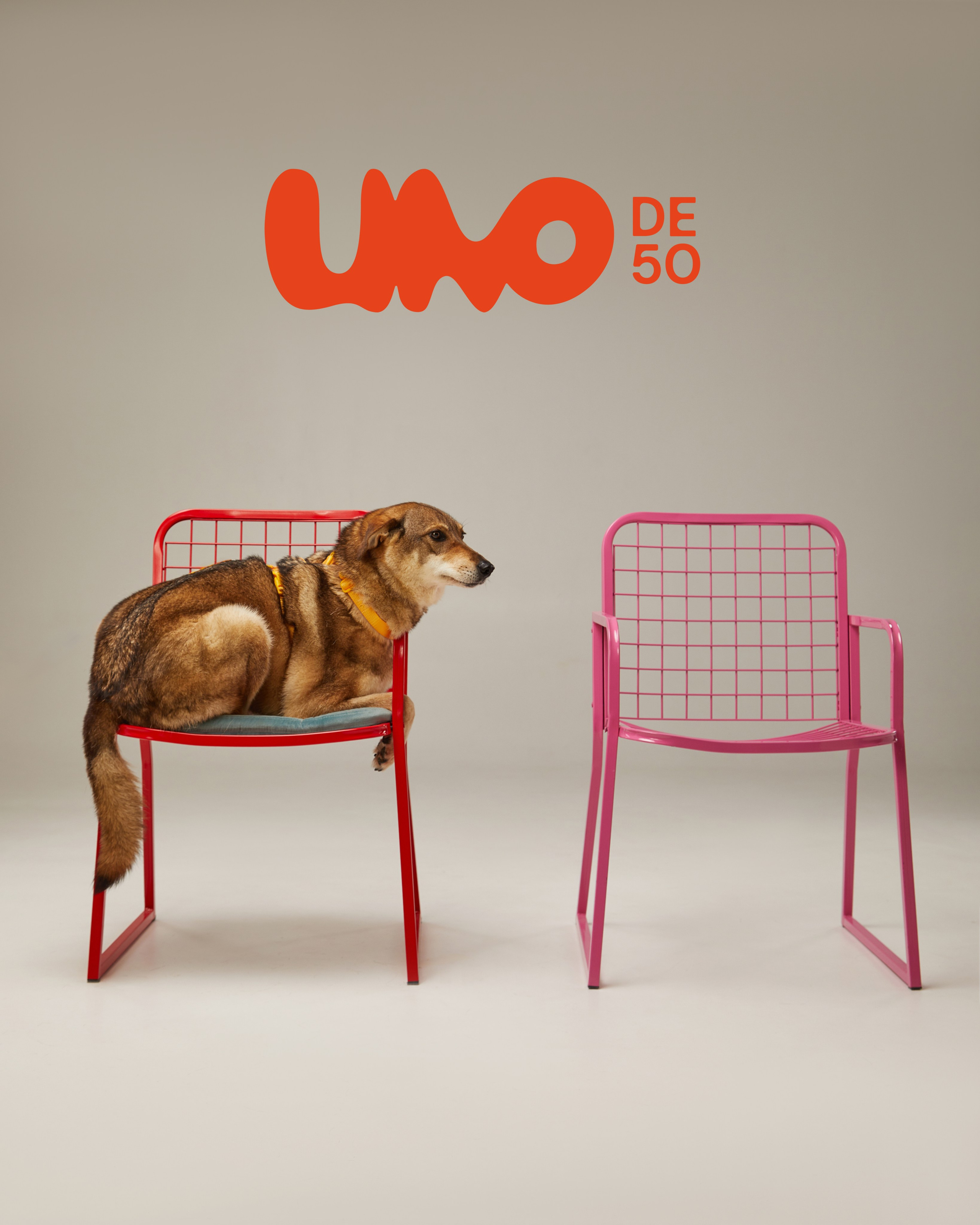 Фонд «Ника» и UNOde50. Pets Photography / Фотограф Собак