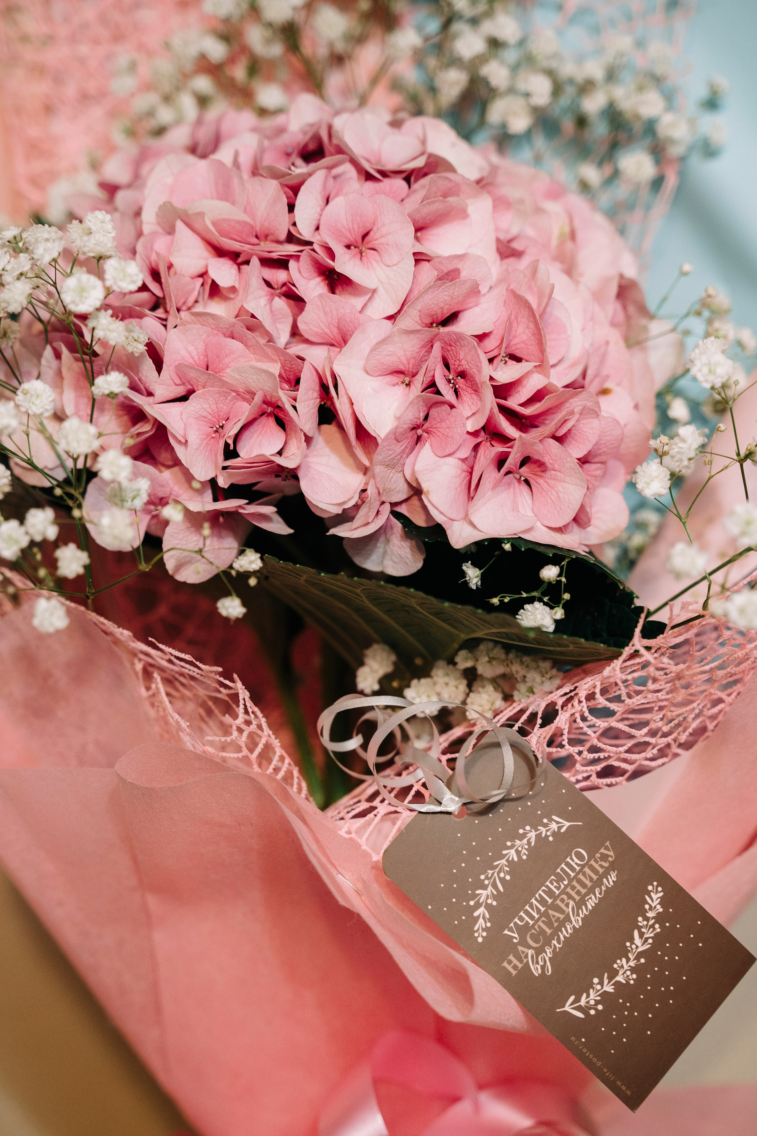 1 сентября — 1 класс. Свадебный и семейный фотограф в Москве и МО Геннадий Туманцев