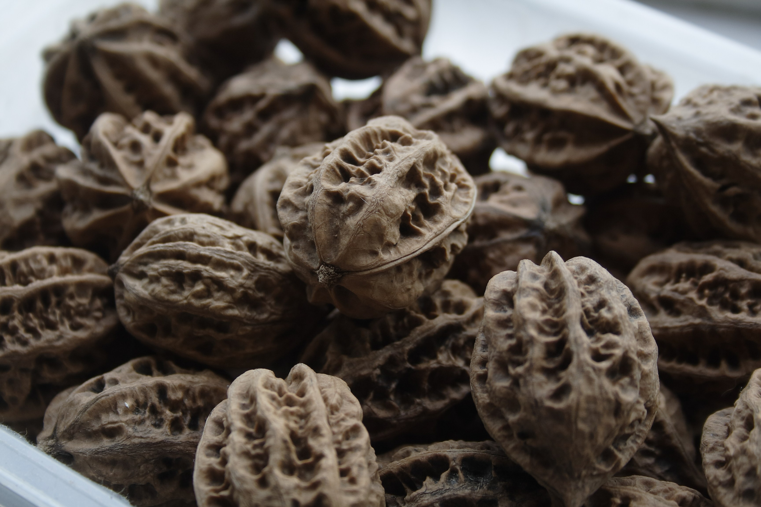 Старое природное, отбирала Katamount (Катерина Горохова). Главная