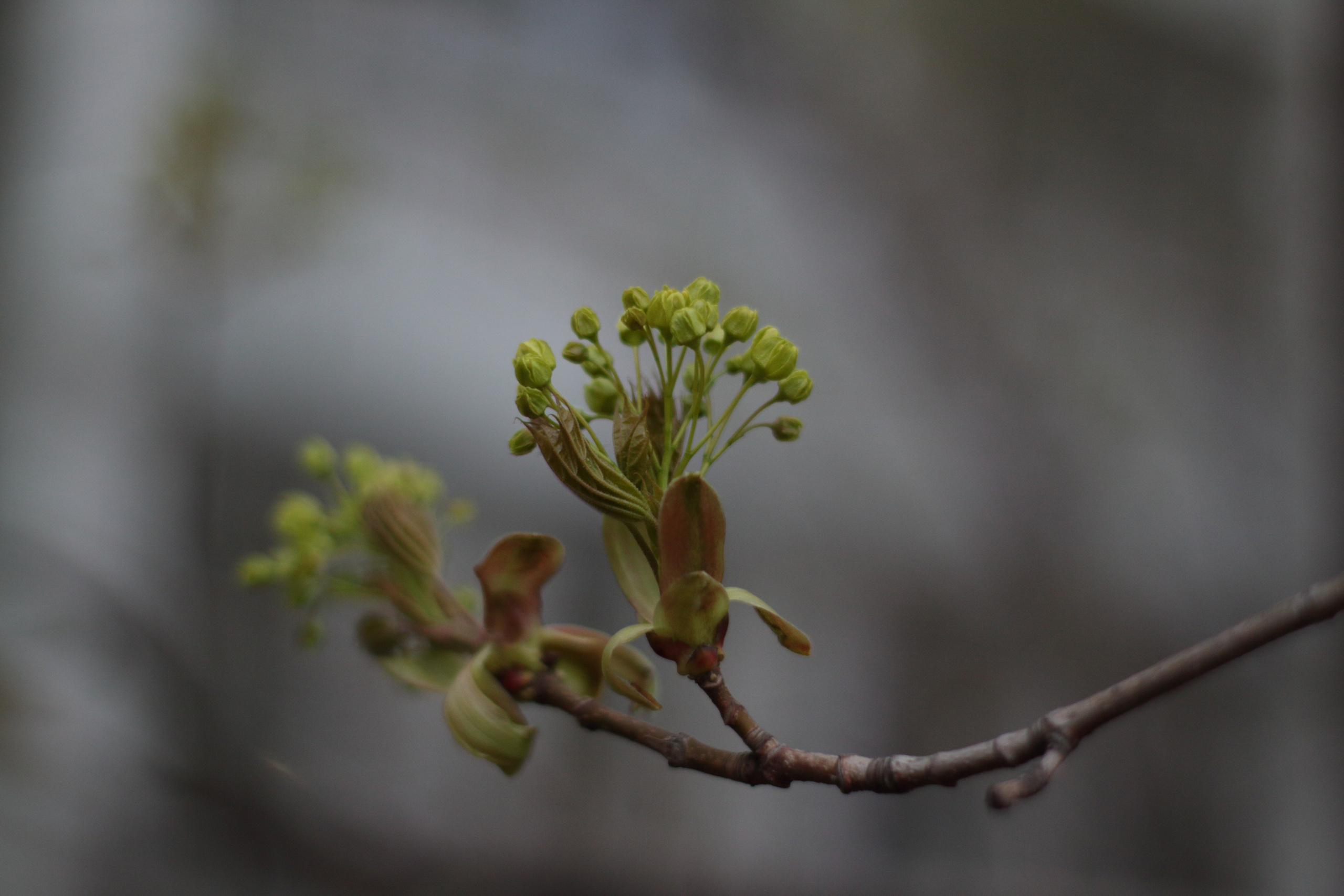 Старое природное, отбирала Katamount (Катерина Горохова). Главная