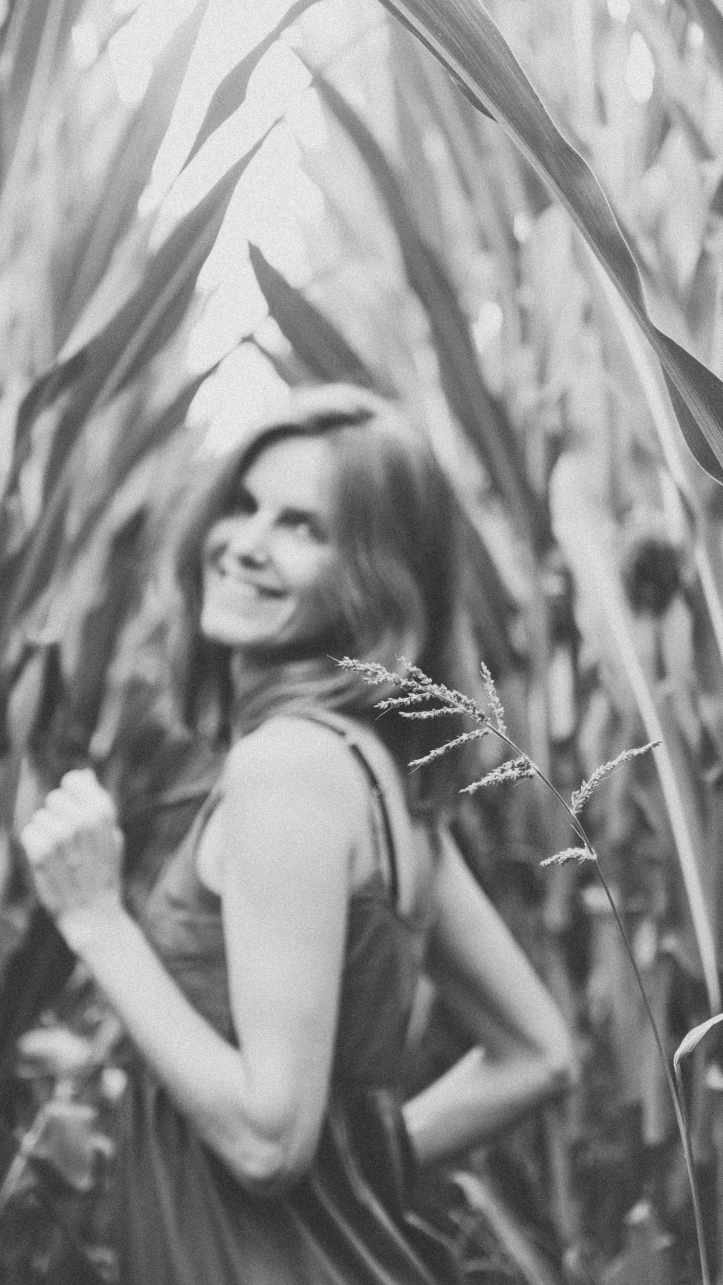 В кукурузном поле. Семейный фотограф Москва и Домодедово Ольга Игнатова