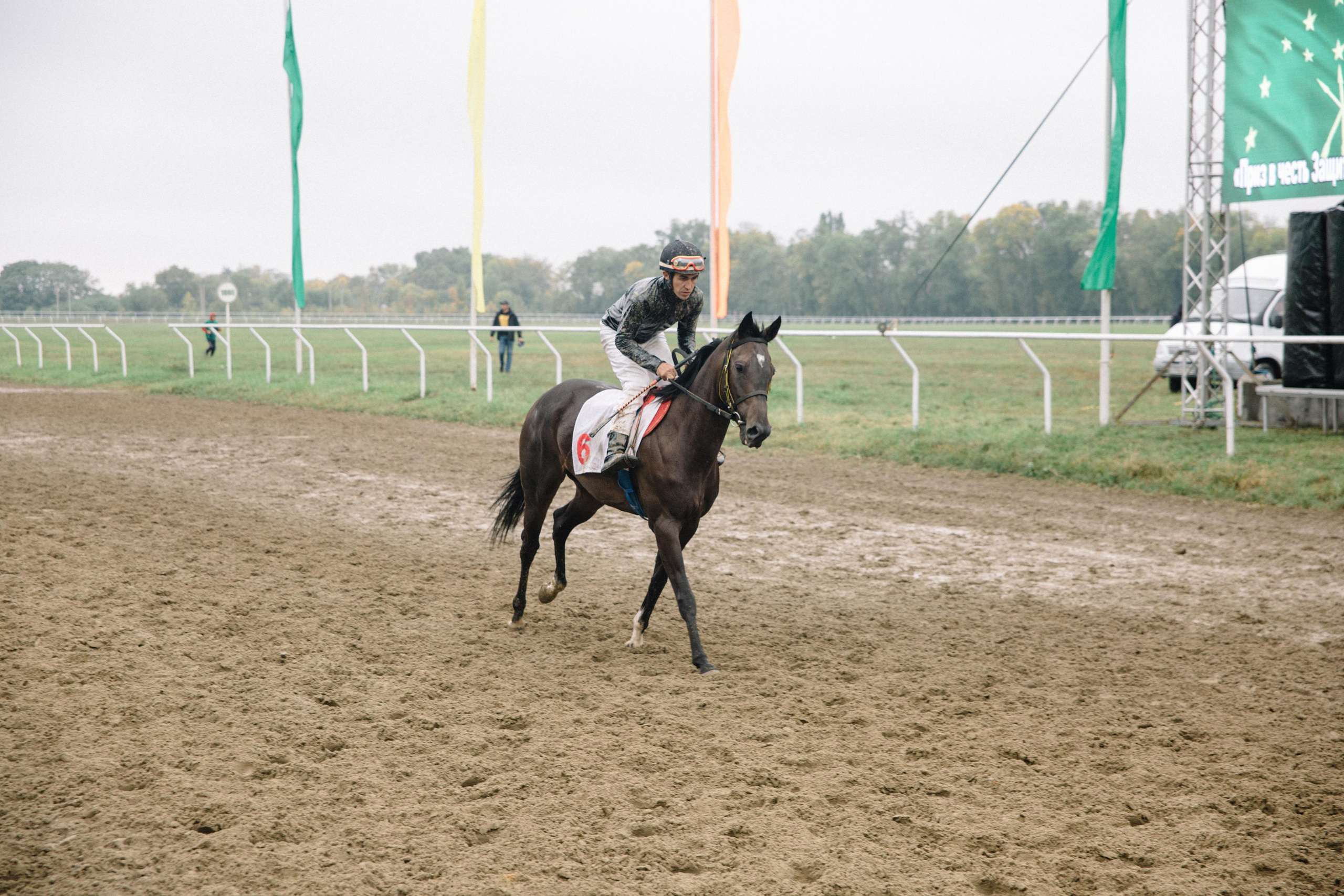 День Республики Адыгея 2022 | Скачки. Семейный и свадебный фотограф в Майкопе Михаил Мартиросян