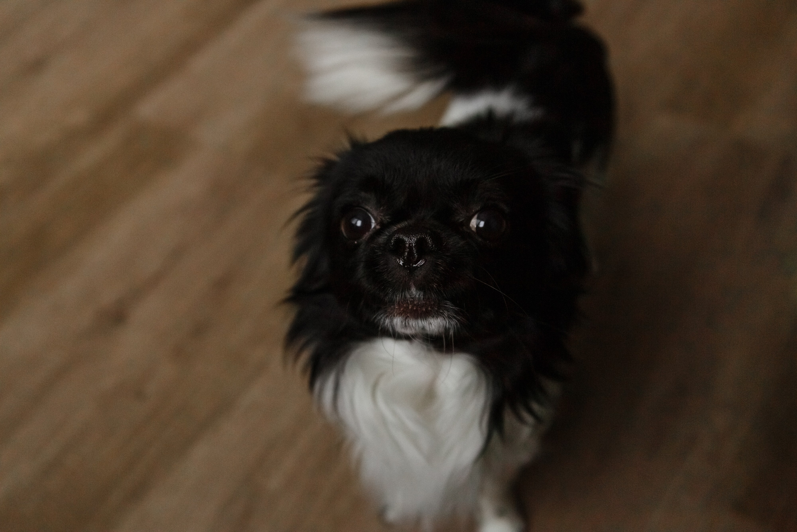 Пулатовы. Семейный и портретный фотограф в Санкт-Петербурге