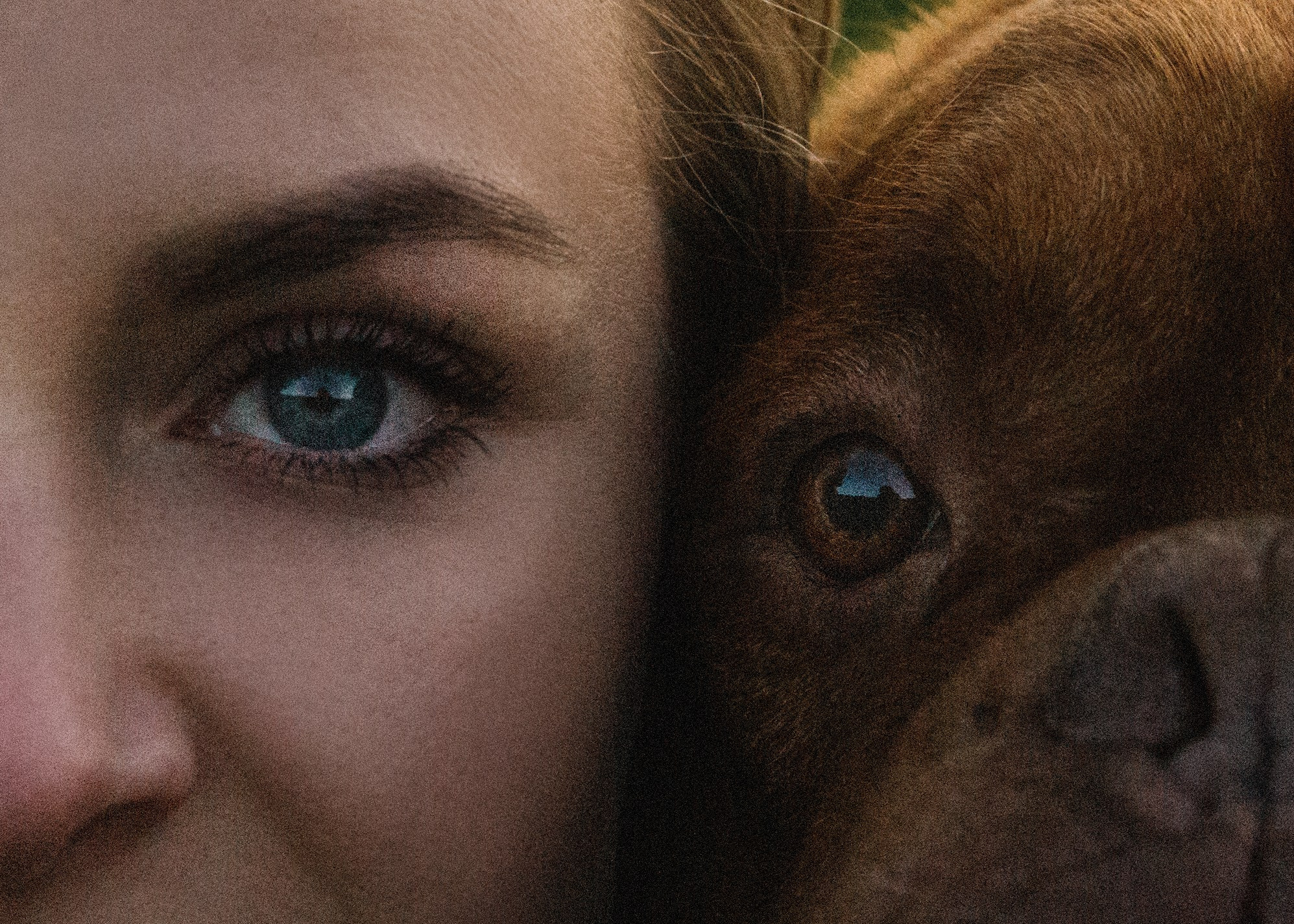 Юлия и Макс. Семейный и портретный фотограф в Санкт-Петербурге