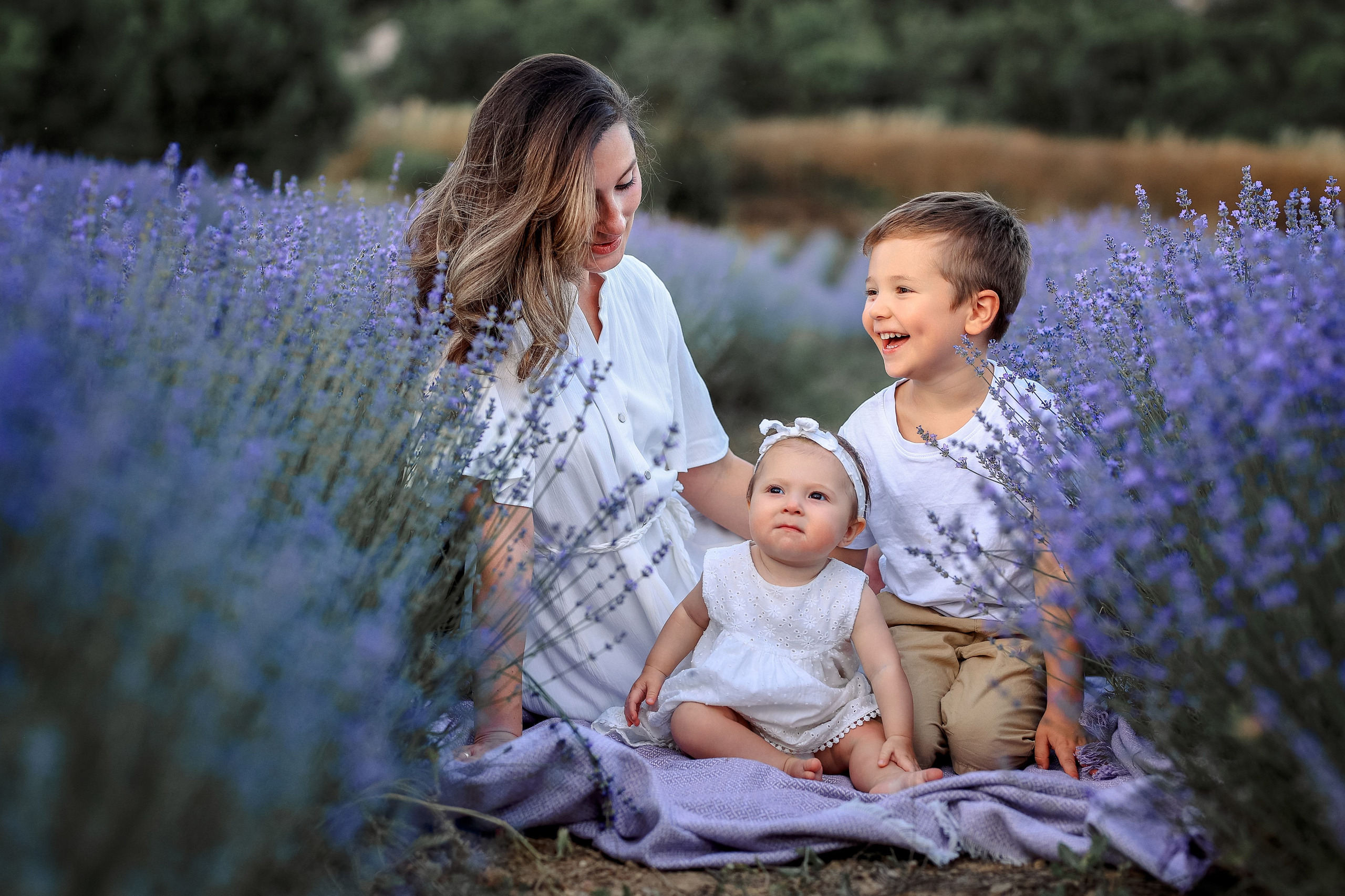 Lavender in Antalya