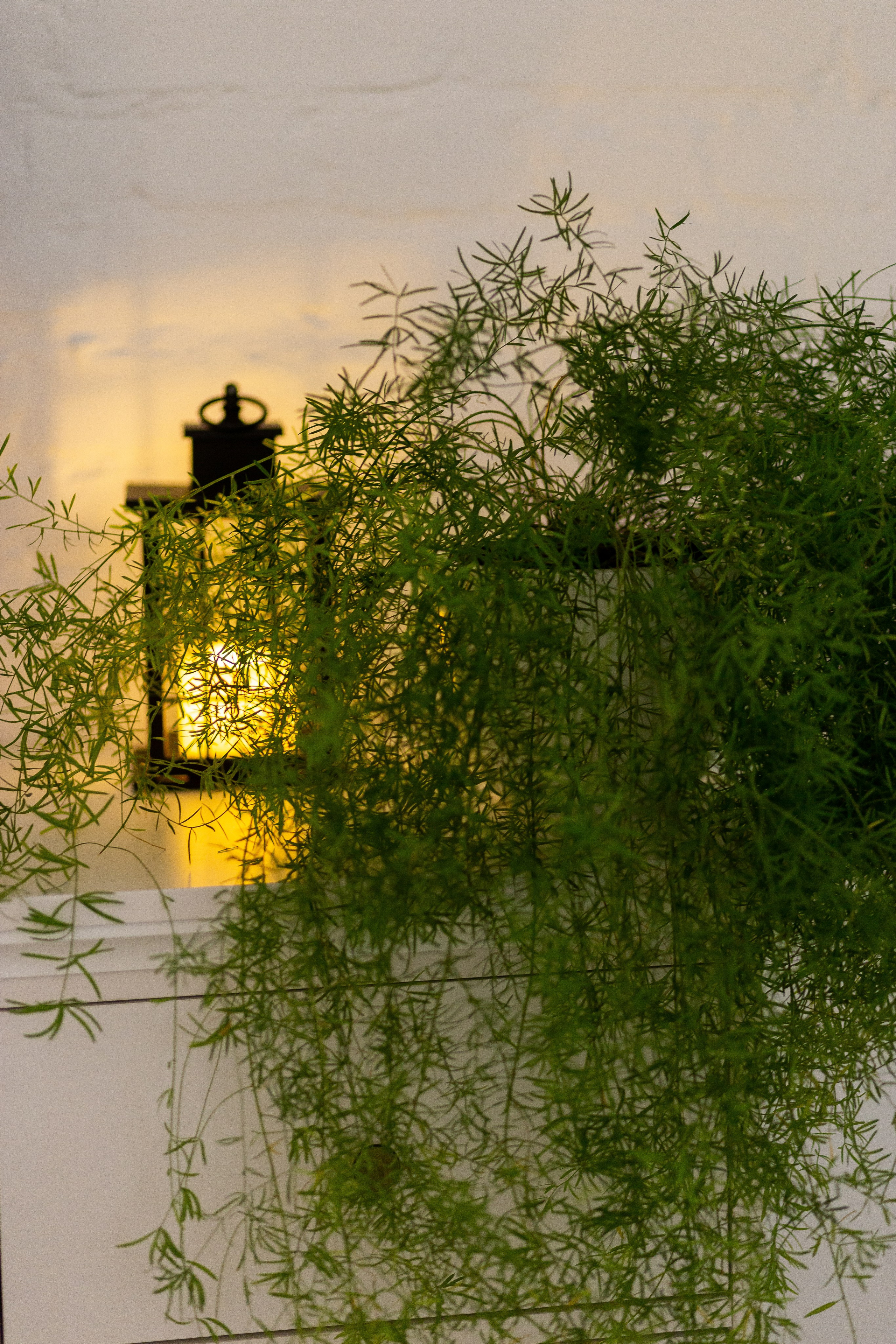 Двухкомнатная Желтый. Репортажный фотограф Анастасия Головко