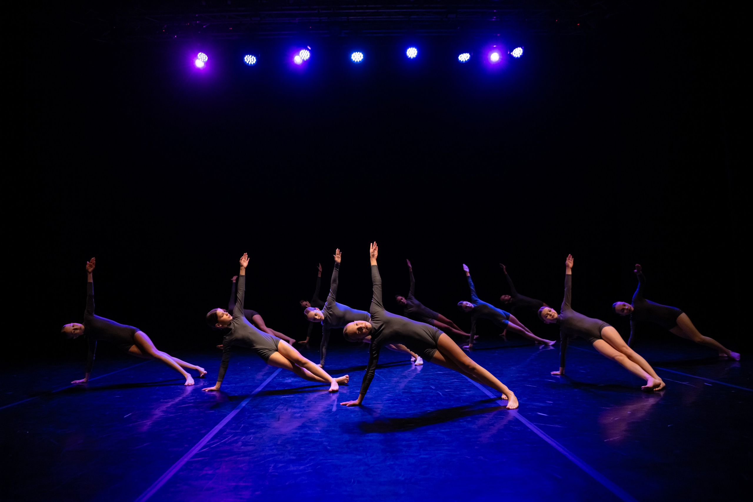 Зодиак. Семейный концерт. Репортажный фотограф в Санкт-Петербурге Алексеева Дарья