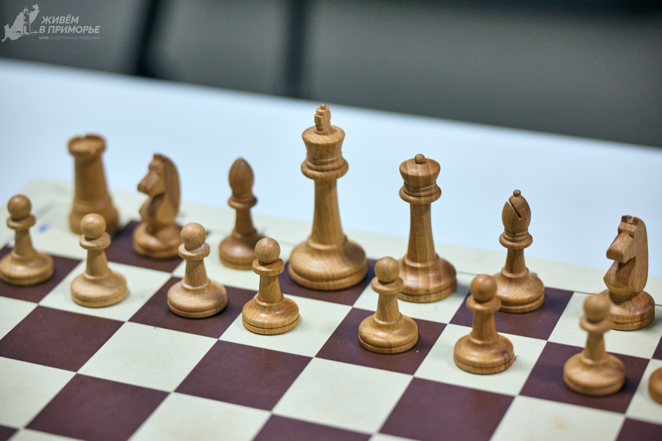 Ярмарка образования 2025.03.16. Профессиональный репортажный фотограф Инесса Иминова