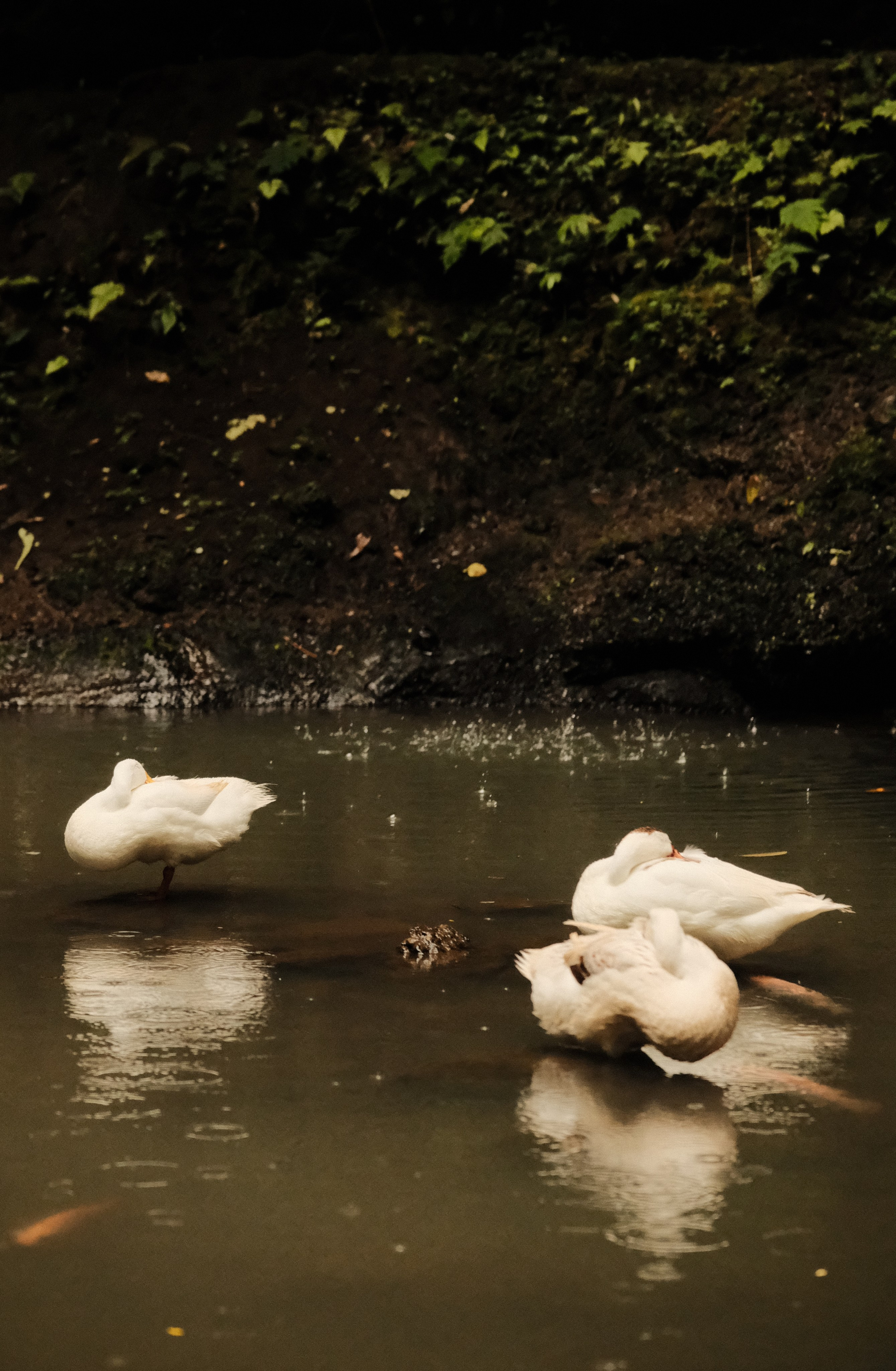 Bali. Creative travel photographer — Berg Daria