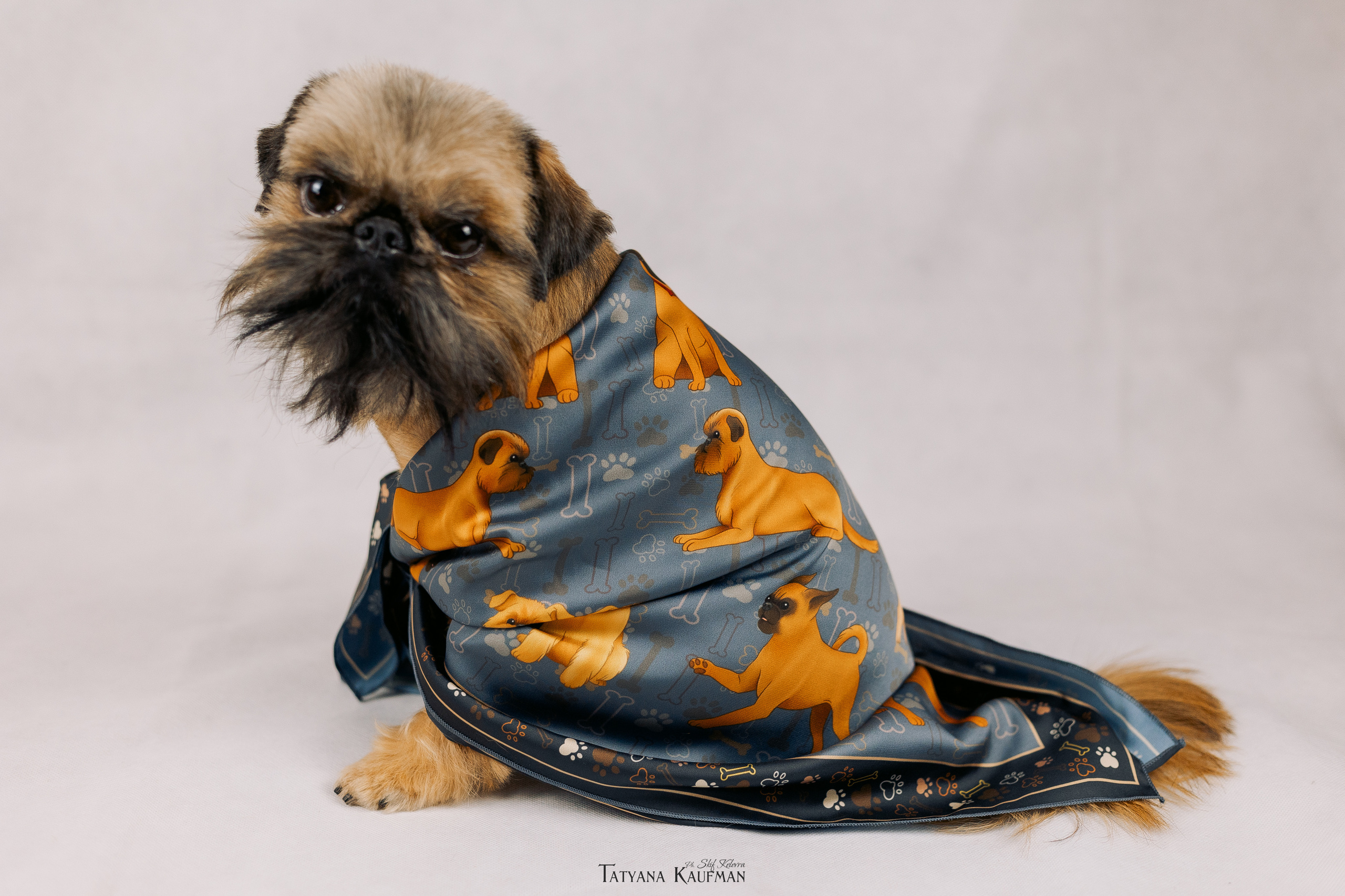 Фотосессия брюссельских гриффонов. Фотограф Анималист из Новосибирска Татьяна Кауфман