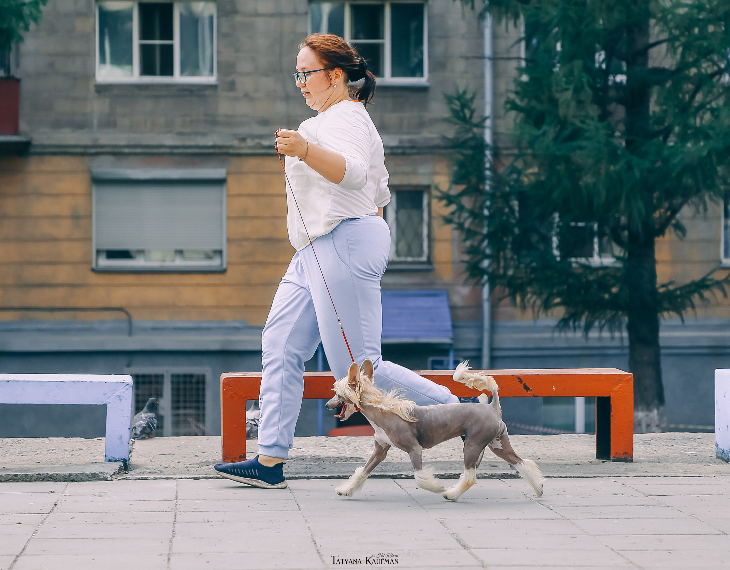 КХС Яны Кадошниковой. Фотограф Анималист из Новосибирска Татьяна Кауфман