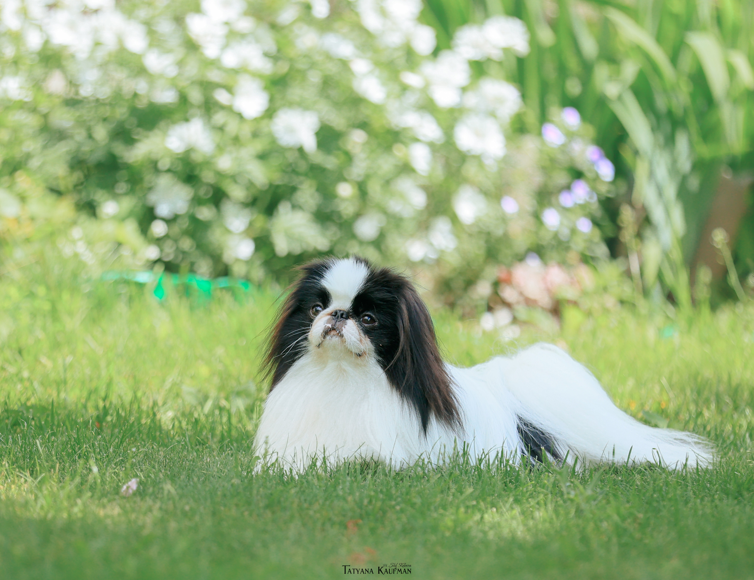 Экспресс ФОТОДНИ 27, 28, 29 июля 2022. Фотограф Анималист из Новосибирска Татьяна Кауфман