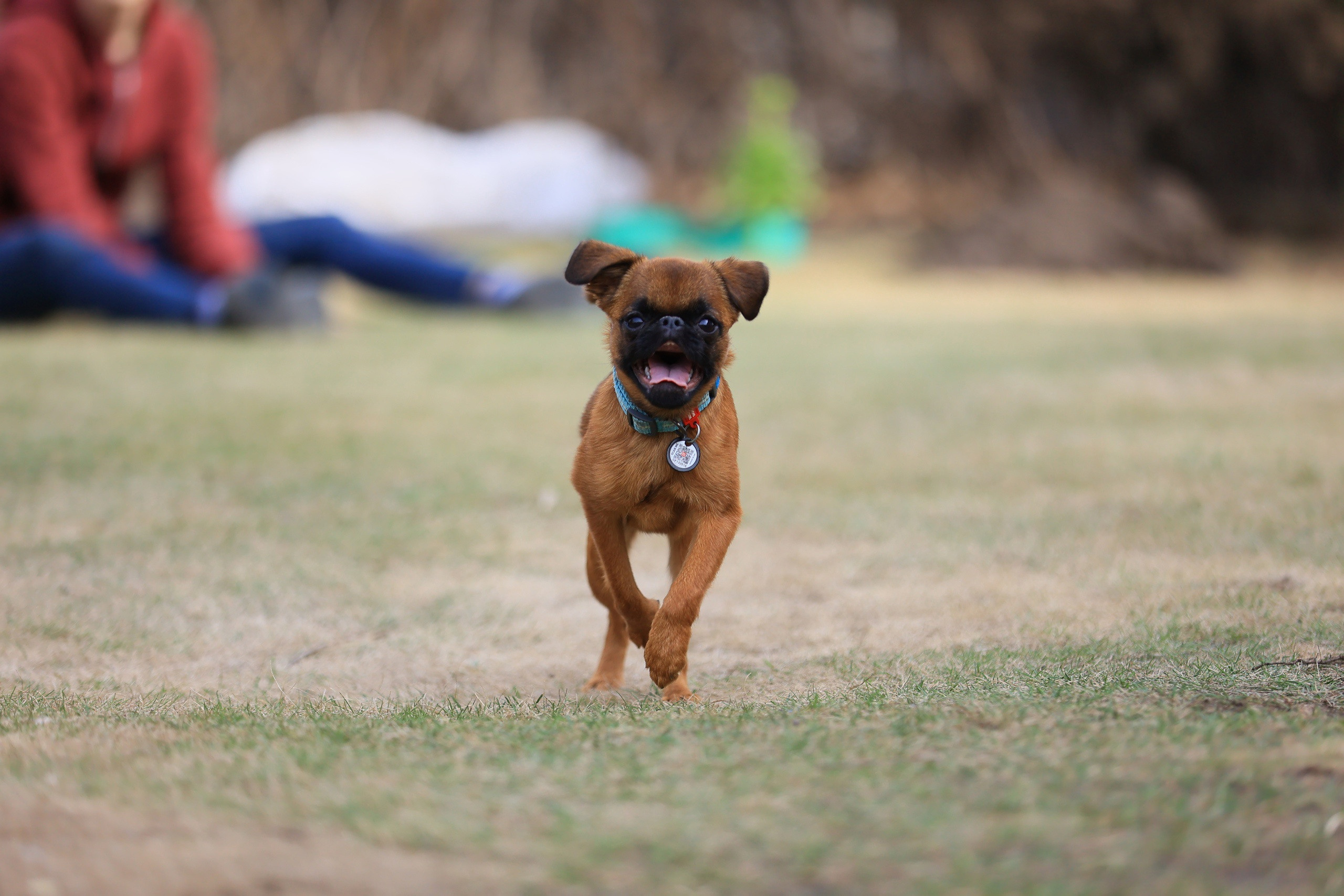 МК_СКИФКА. Фотограф Анималист из Новосибирска Татьяна Кауфман