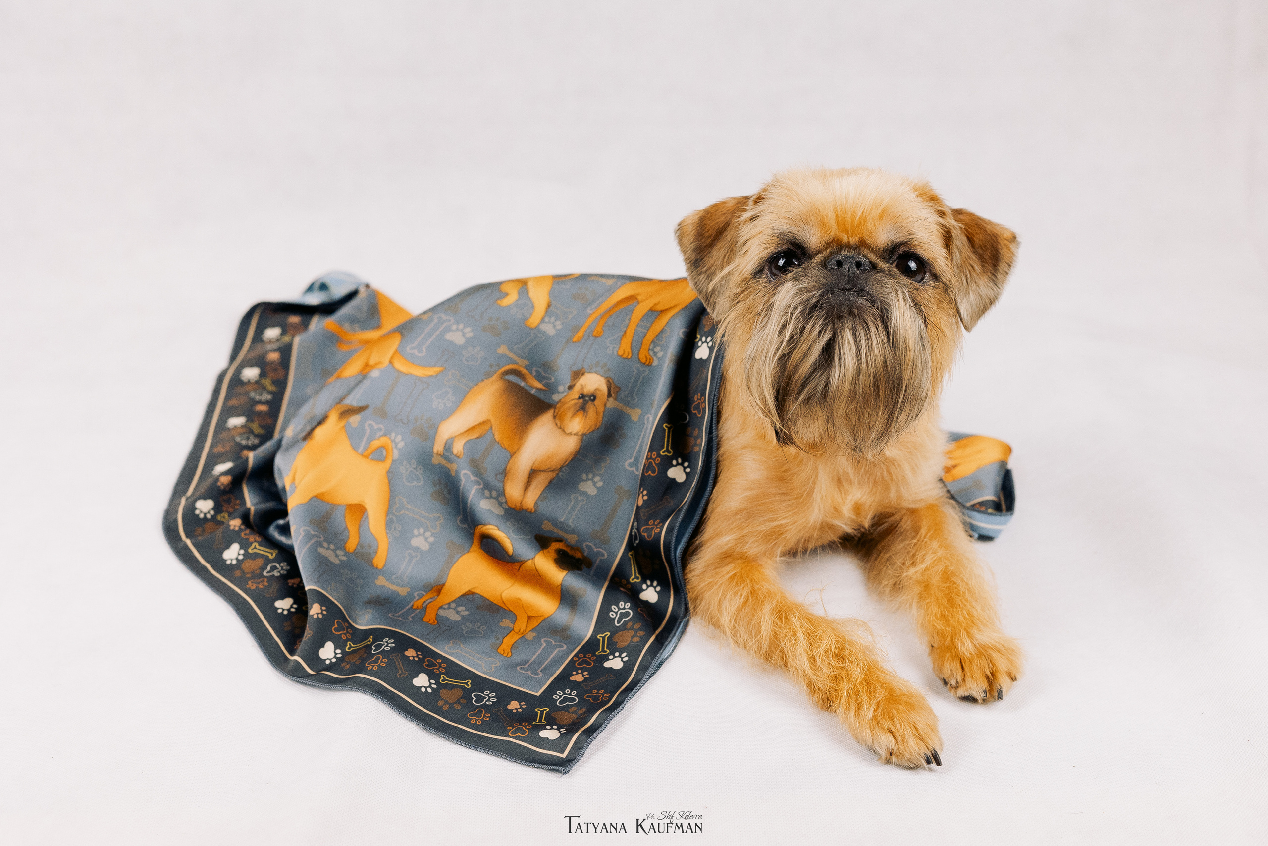 Фотосессия брюссельских гриффонов. Фотограф Анималист из Новосибирска Татьяна Кауфман