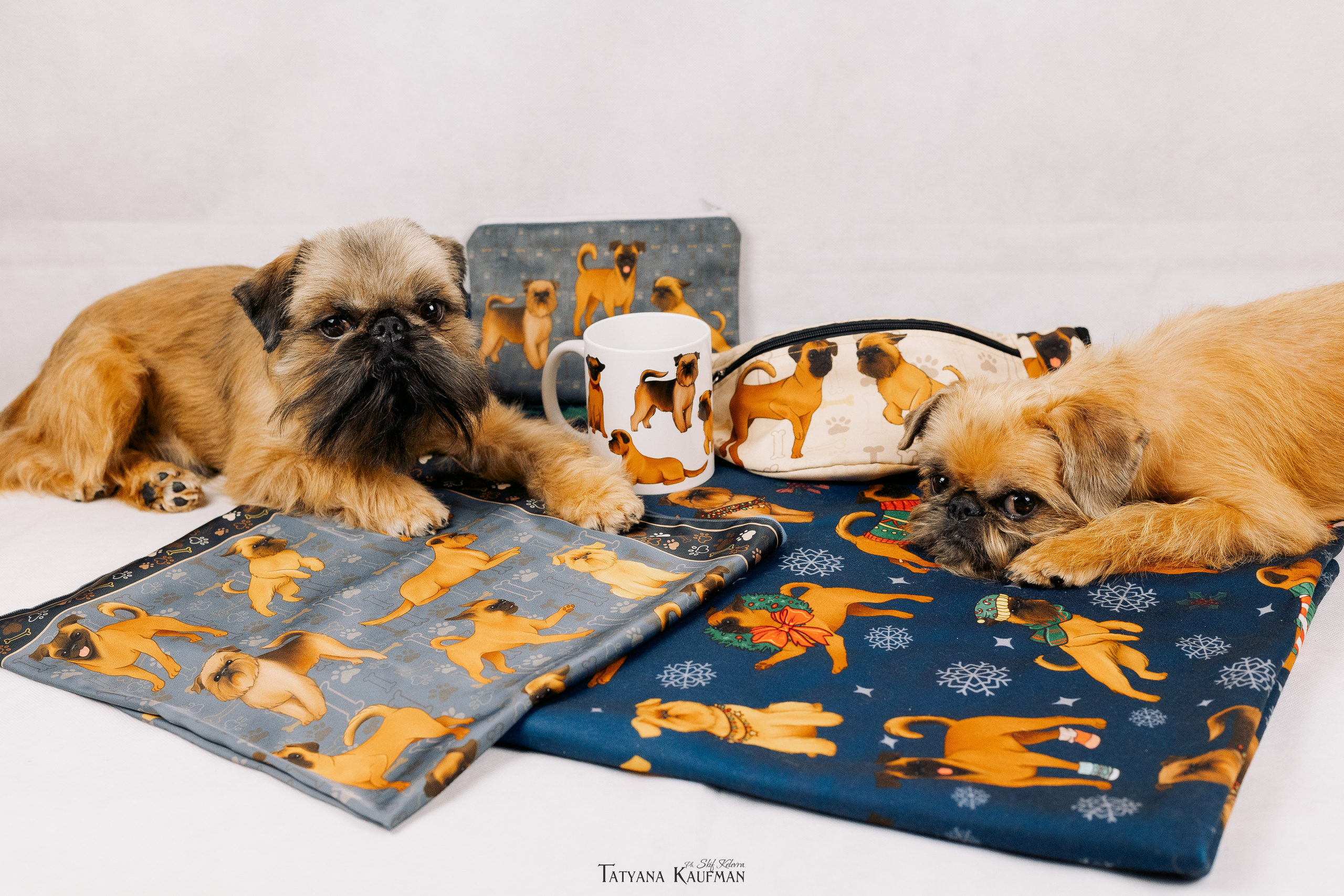 Фотосессия брюссельских гриффонов. Фотограф Анималист из Новосибирска Татьяна Кауфман