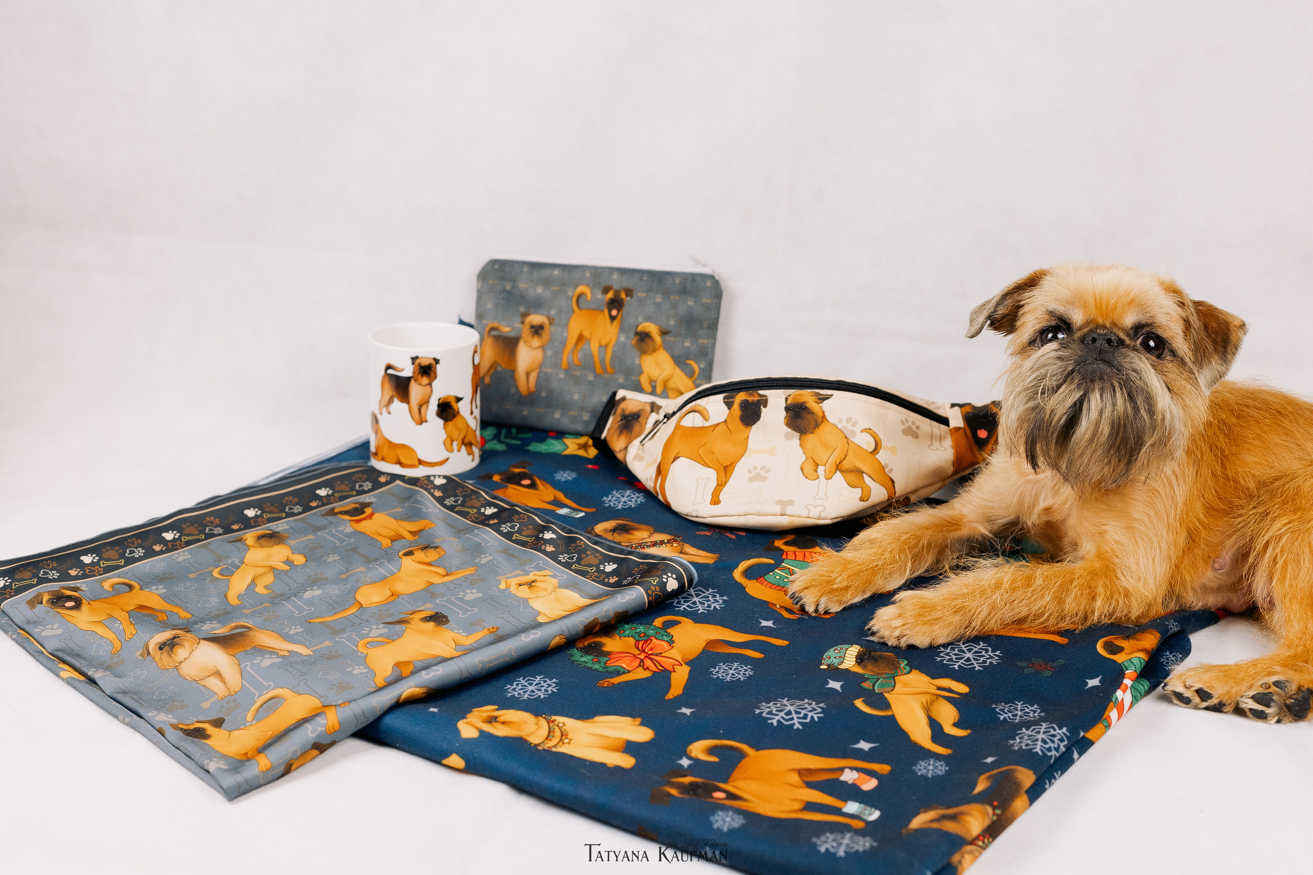 Фотосессия брюссельских гриффонов. Фотограф Анималист из Новосибирска Татьяна Кауфман