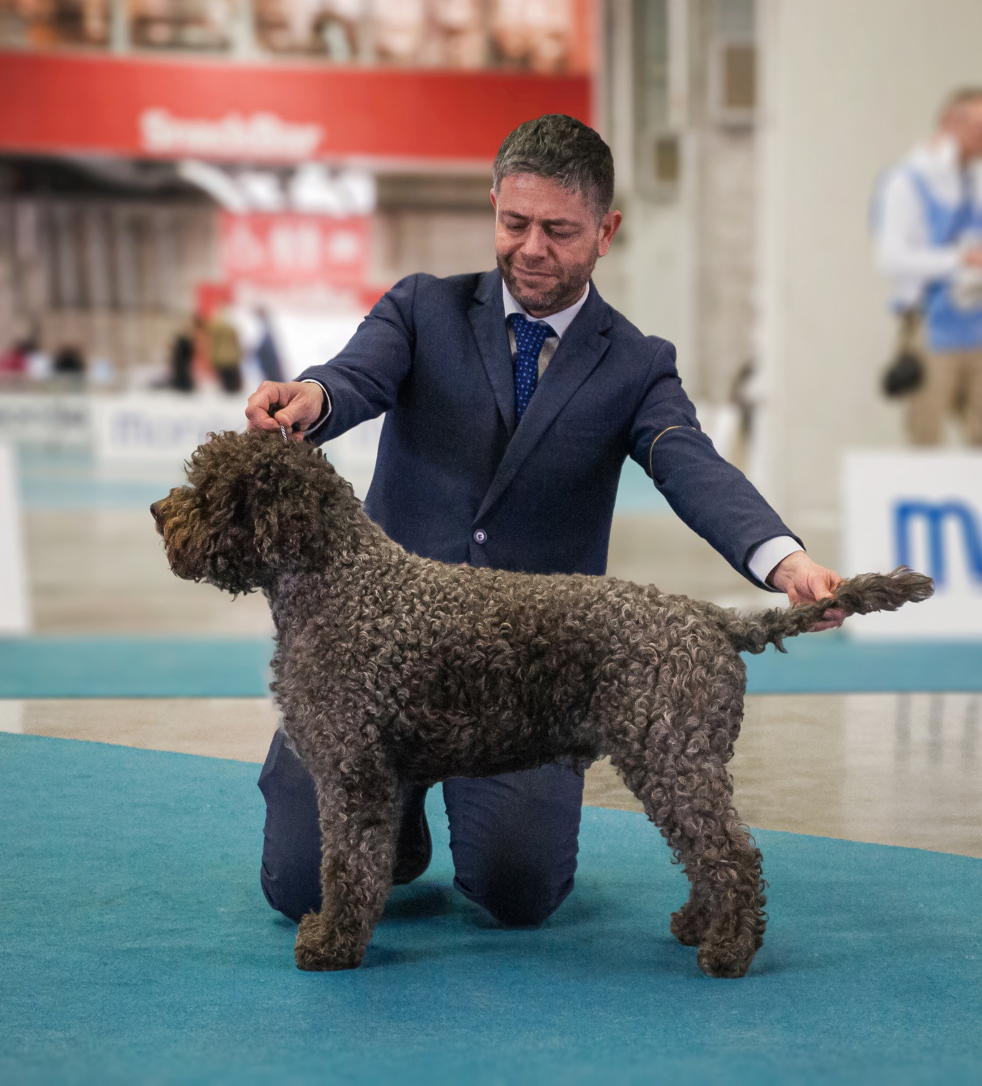 МК_СКИФКА. Фотограф Анималист из Новосибирска Татьяна Кауфман
