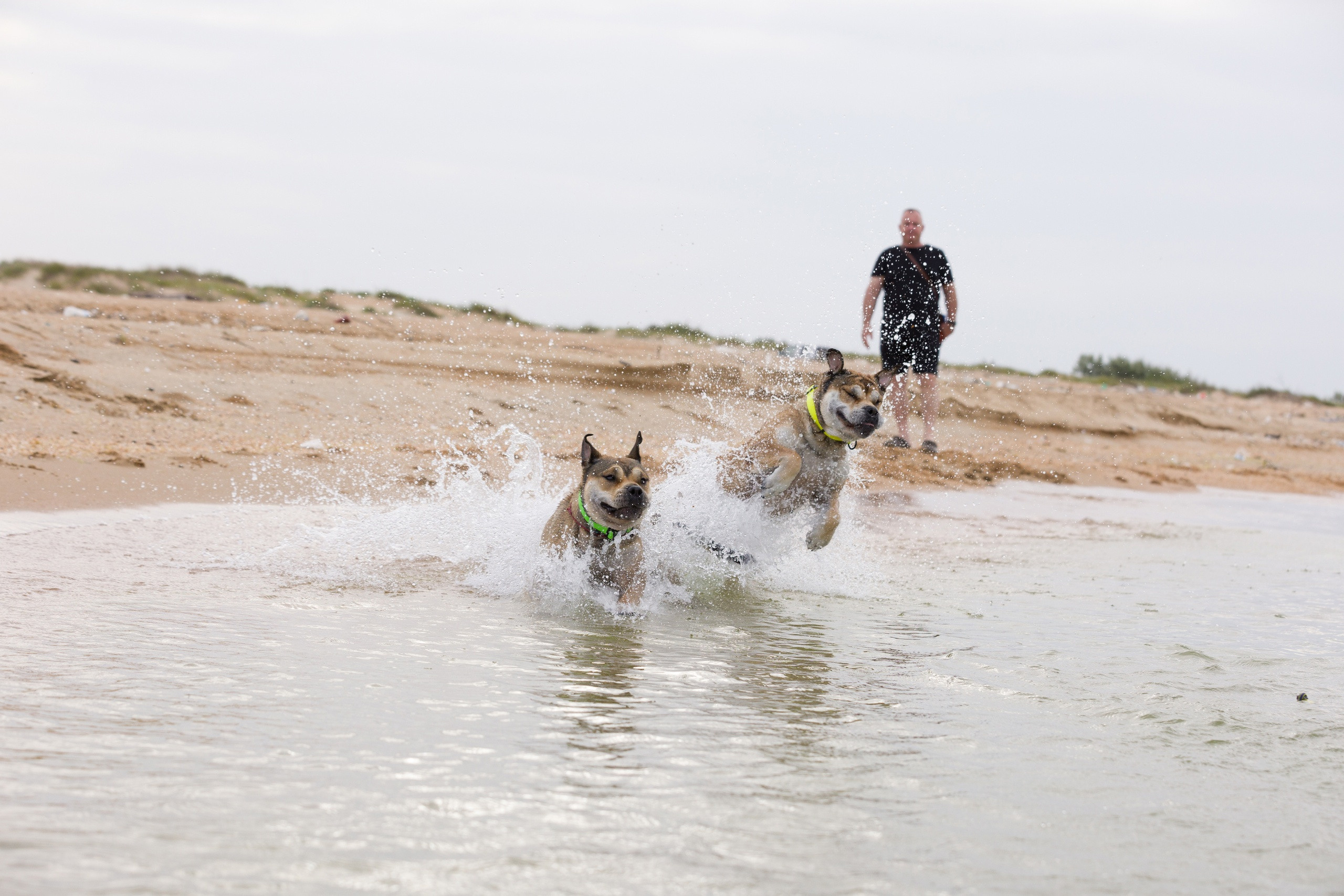 МК_СКИФКА. Фотограф Анималист из Новосибирска Татьяна Кауфман