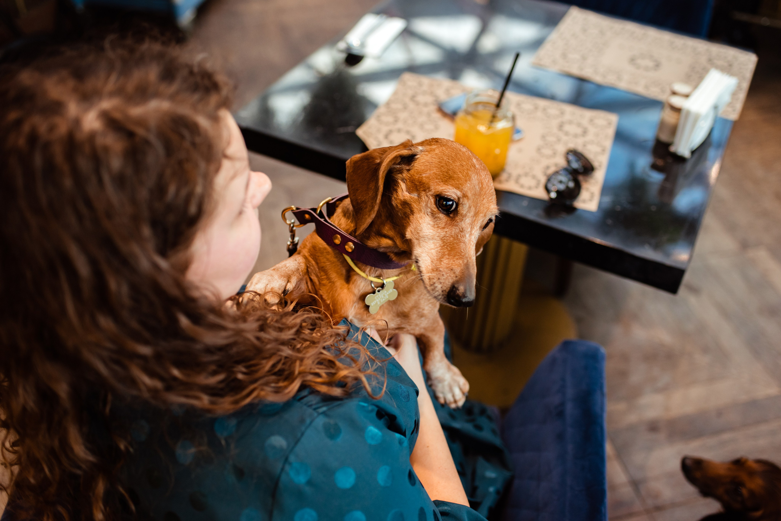 Таксы на Красной площади. Семейный Фотограф в Москве Ирина Хохлова