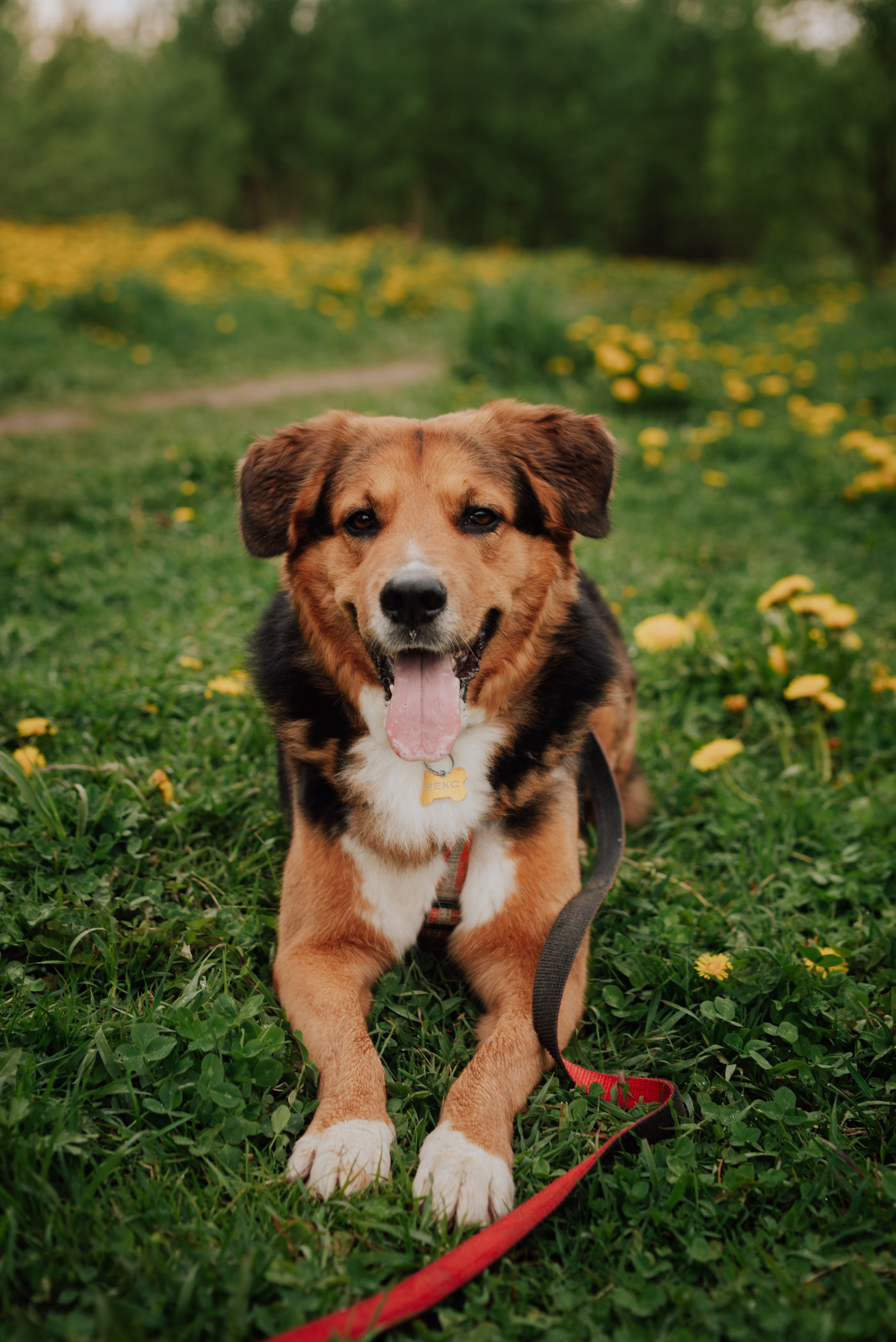 Животные. Фотограф в Санкт-Петербурге и Ленинградской области