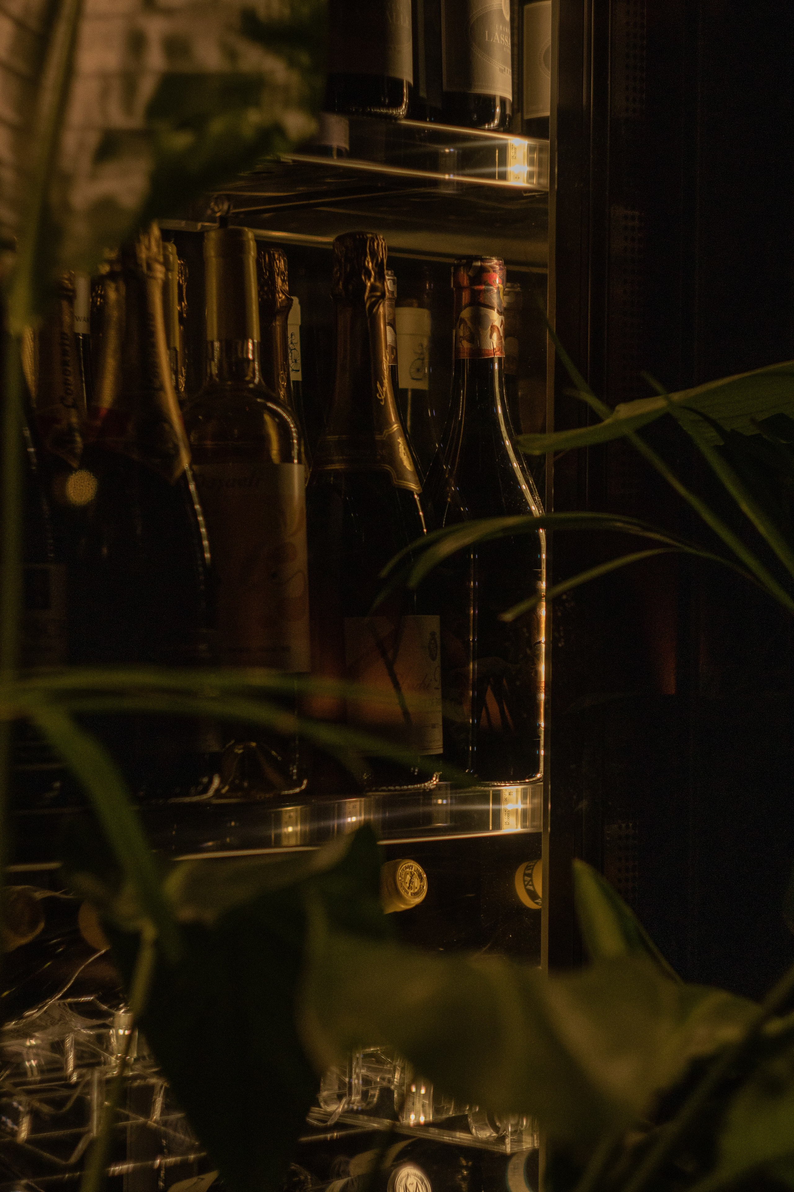 Моменты. Главная