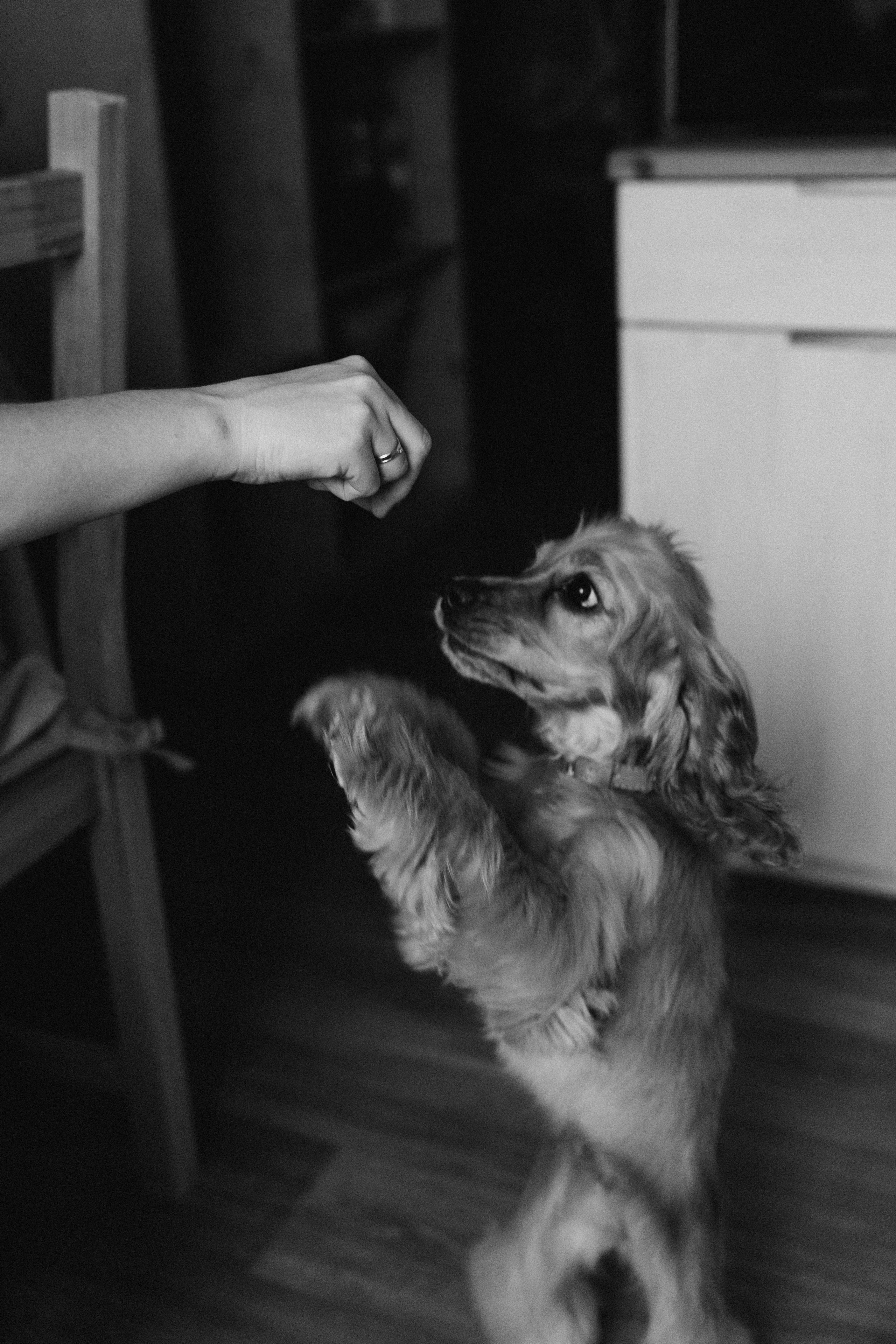 Сделано с любовью. Семейный фотограф в Ангарске/ Иркутске