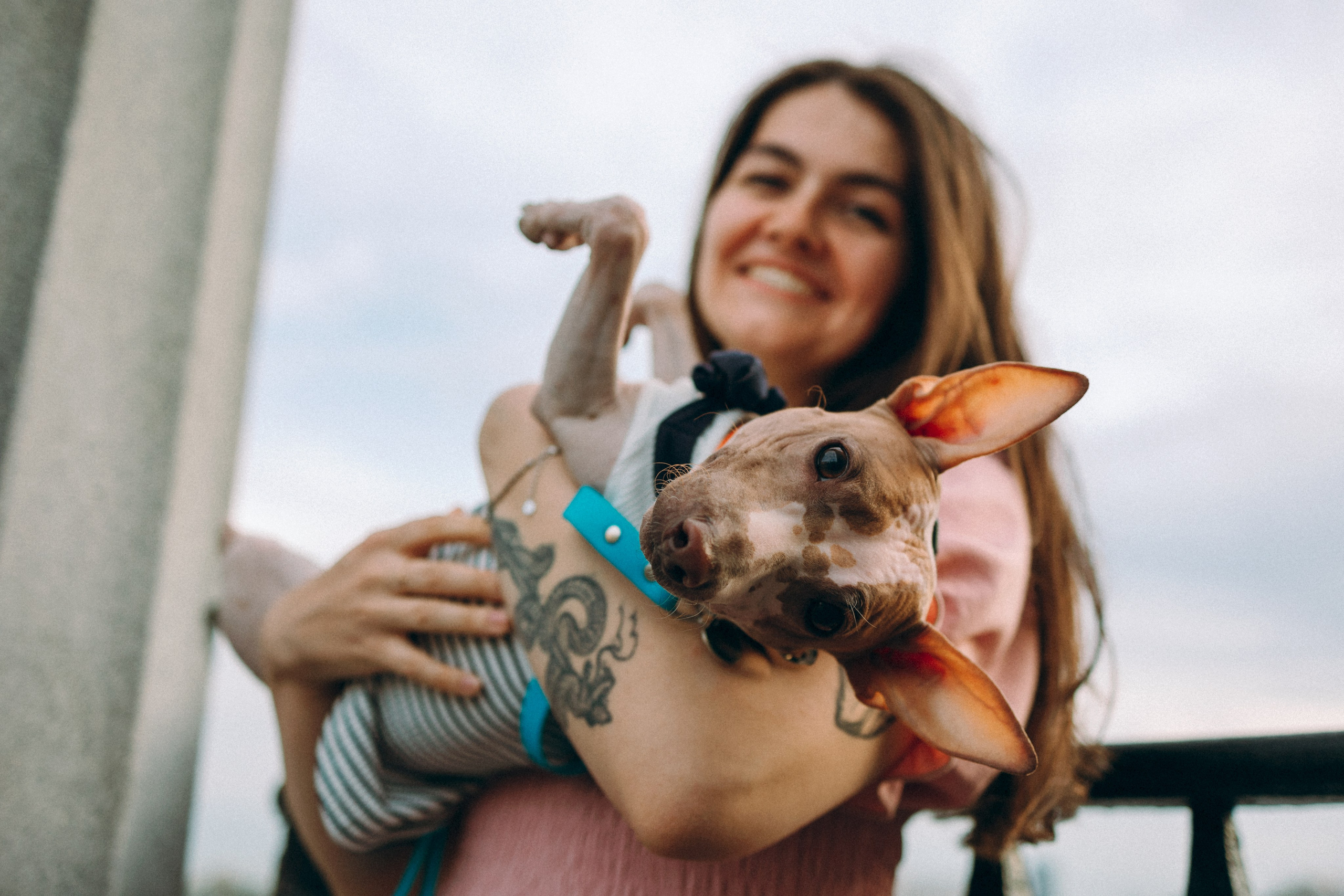 Глаша, Айрон, Ксюша и Оля. Фотограф анималист Анастасия Пикей