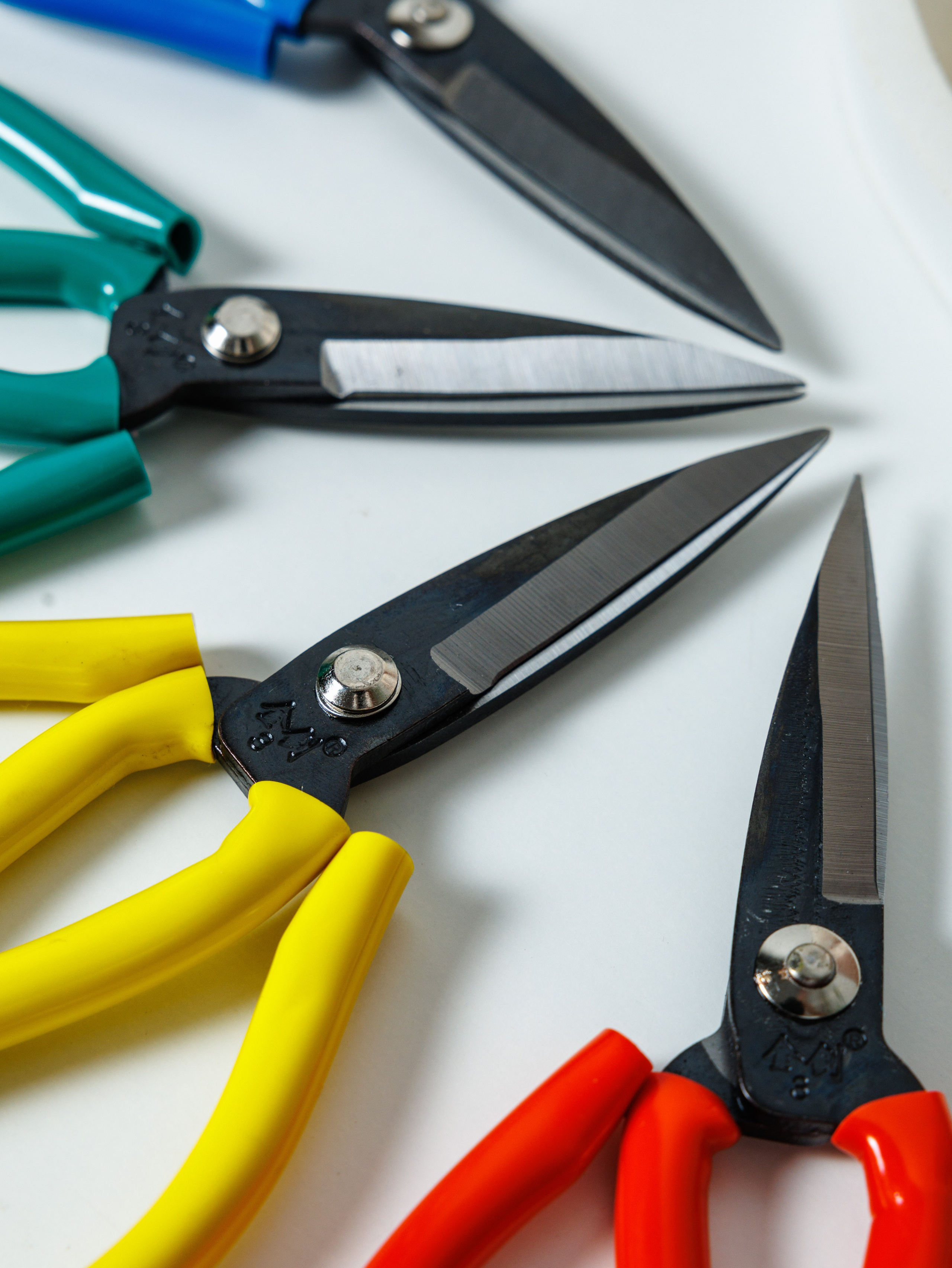 Gamakov Shnur. Фотограф Ставрополь Петр Голубенко