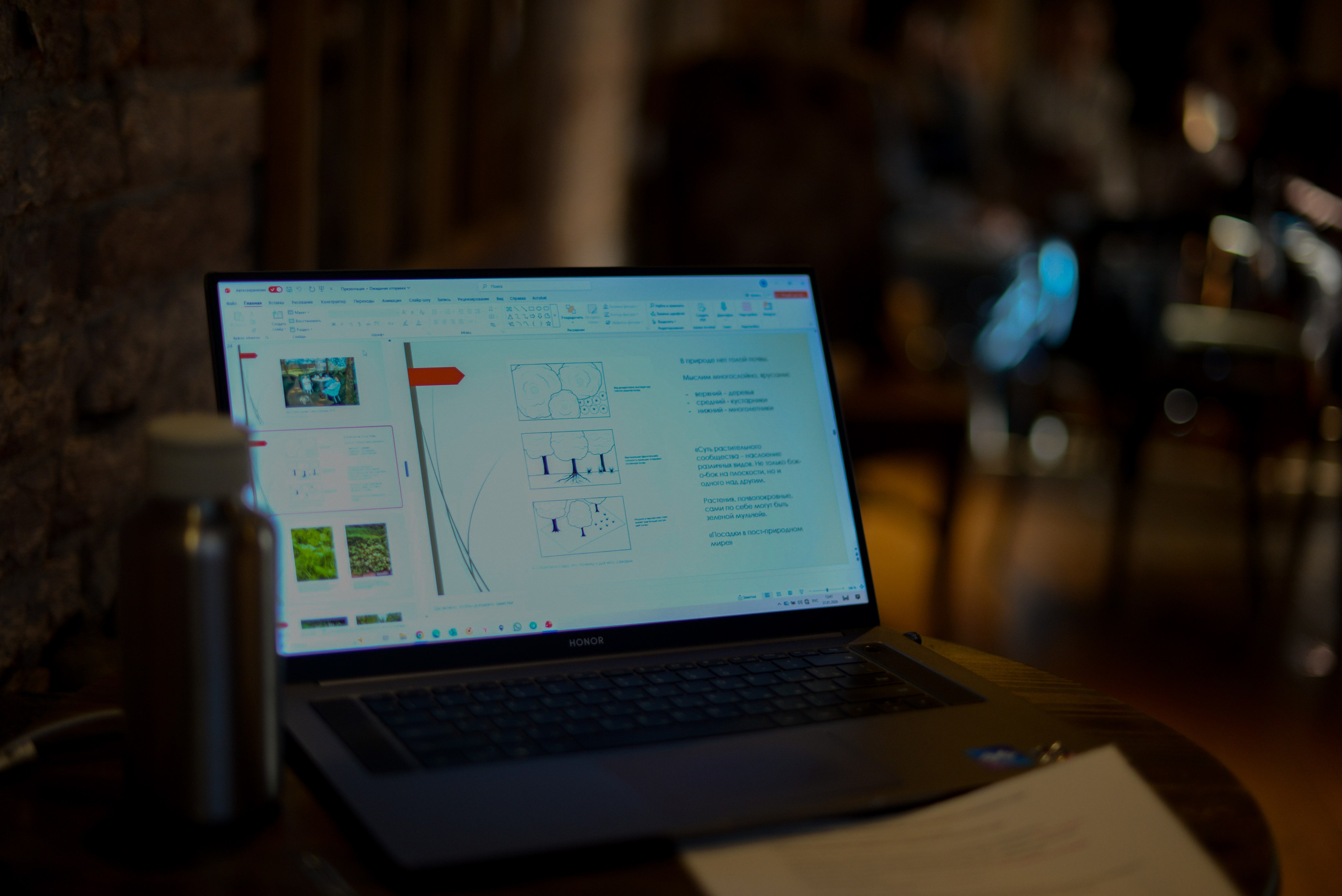 Готовимся к весне Лекция Натальи Лавруша в усадьбе Роден love of flowers. Victoria Radjevna Репортажный Fashion Фотограф- Видеограф Санкт-Петербурга и Москвы