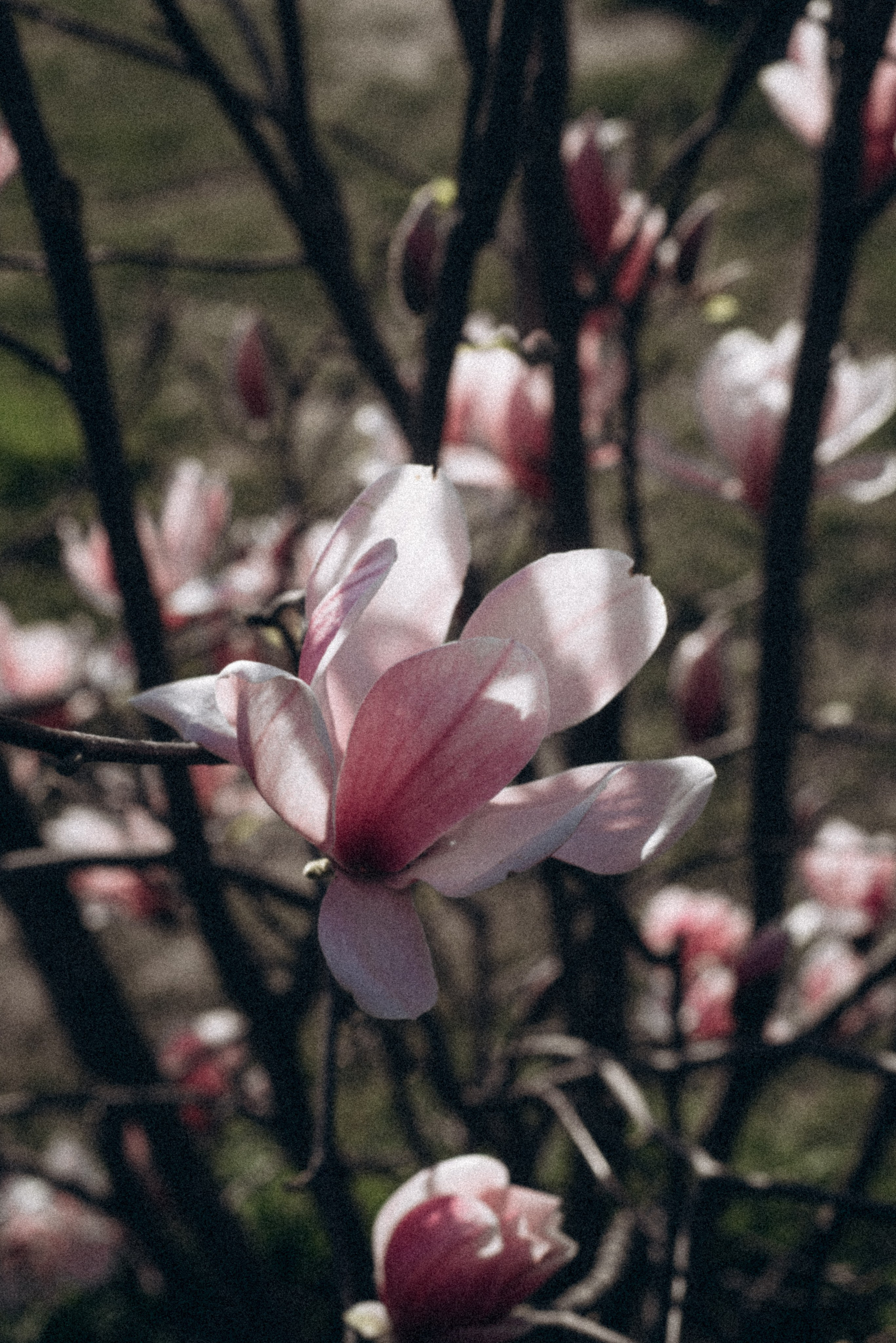 Батуми, Грузия🇬🇪. Anita_photo