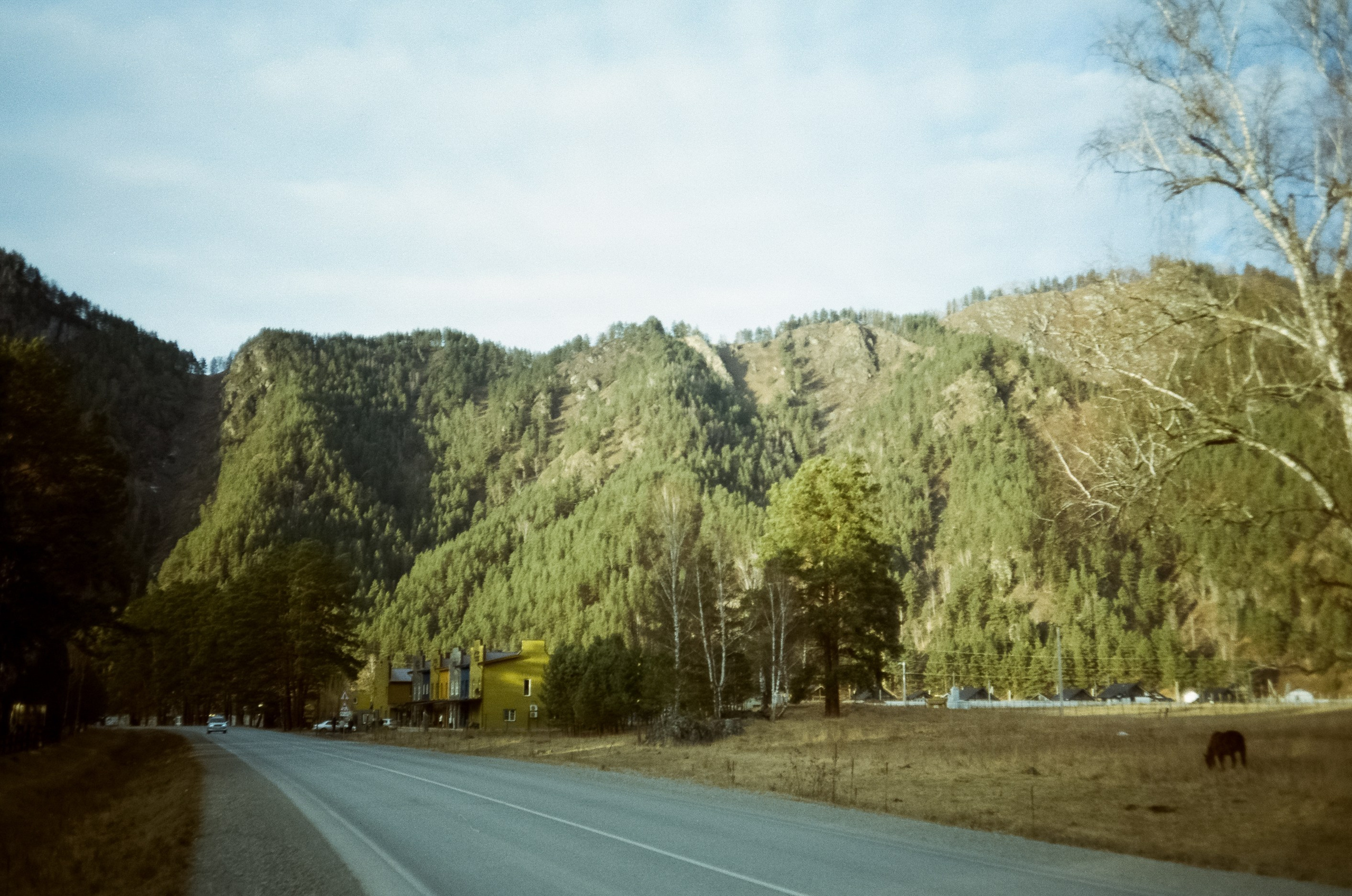 Горно-лыжный курорт Манжерок / 22 декабря 2023 года (0℃)