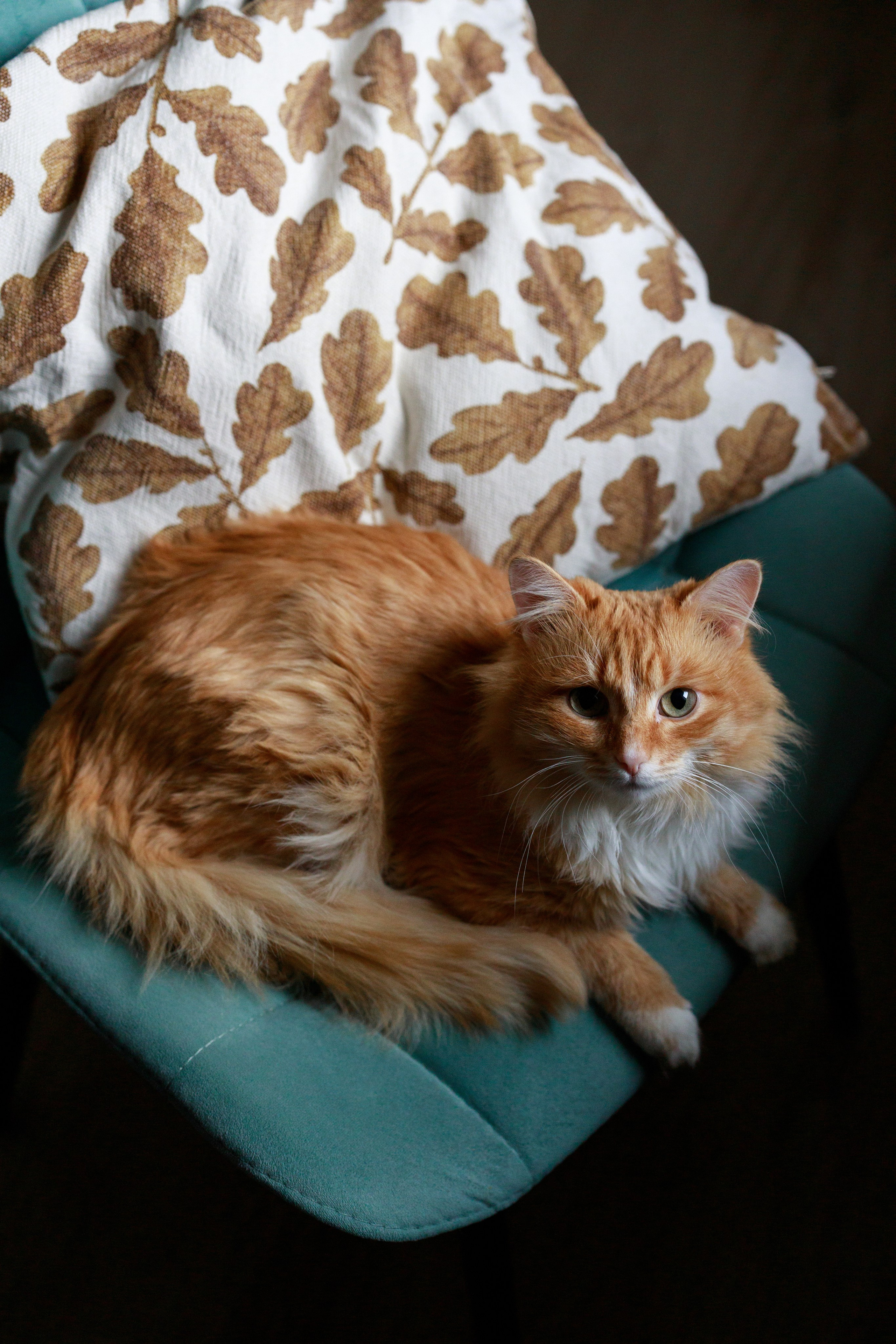 Бизнес и контент. Фотограф Санкт-Петербург Конюхова Мария