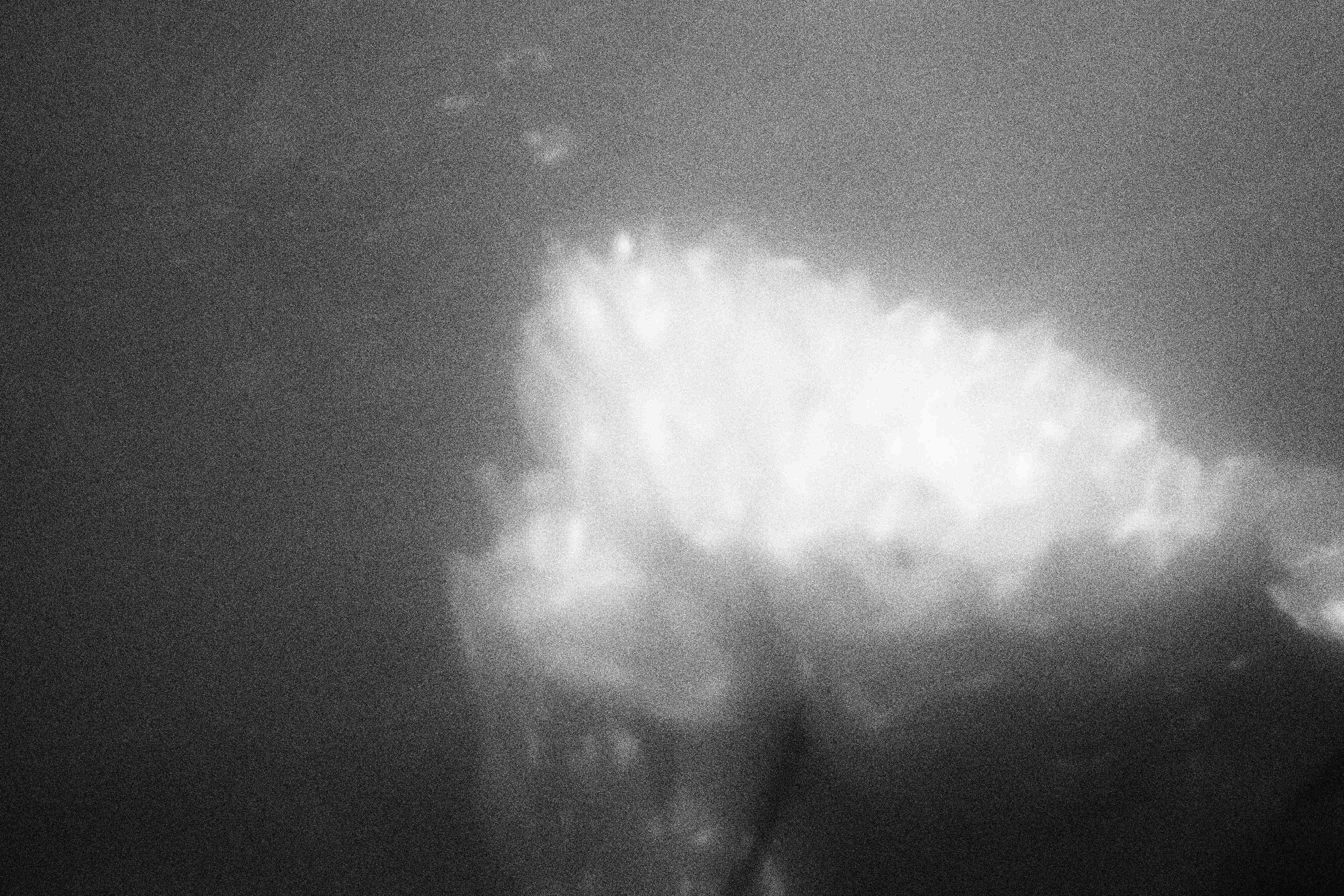 «Видеть. Чувствовать. Сохранять»