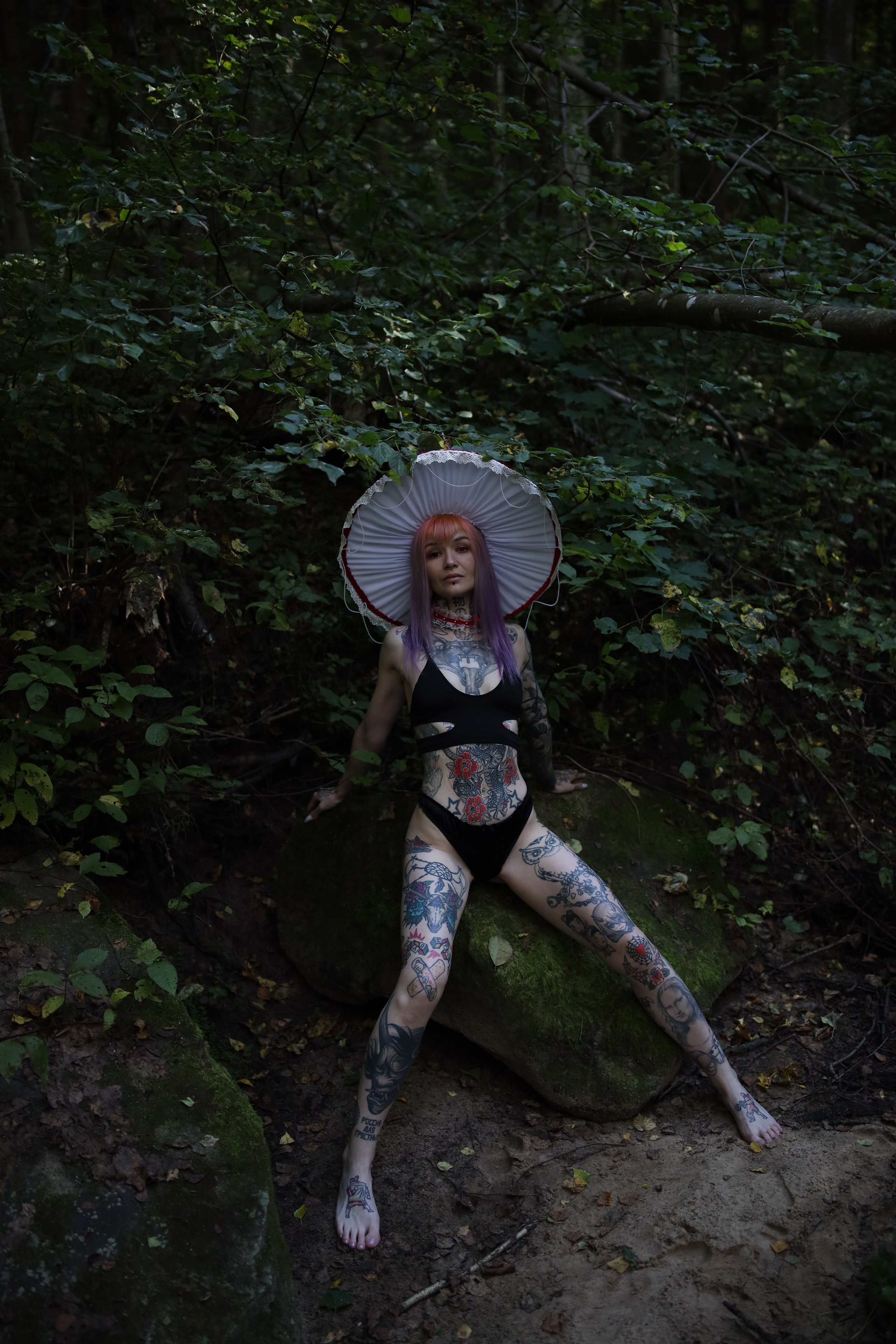 Жизнь гриба. Фотограф Игорь Михайлов