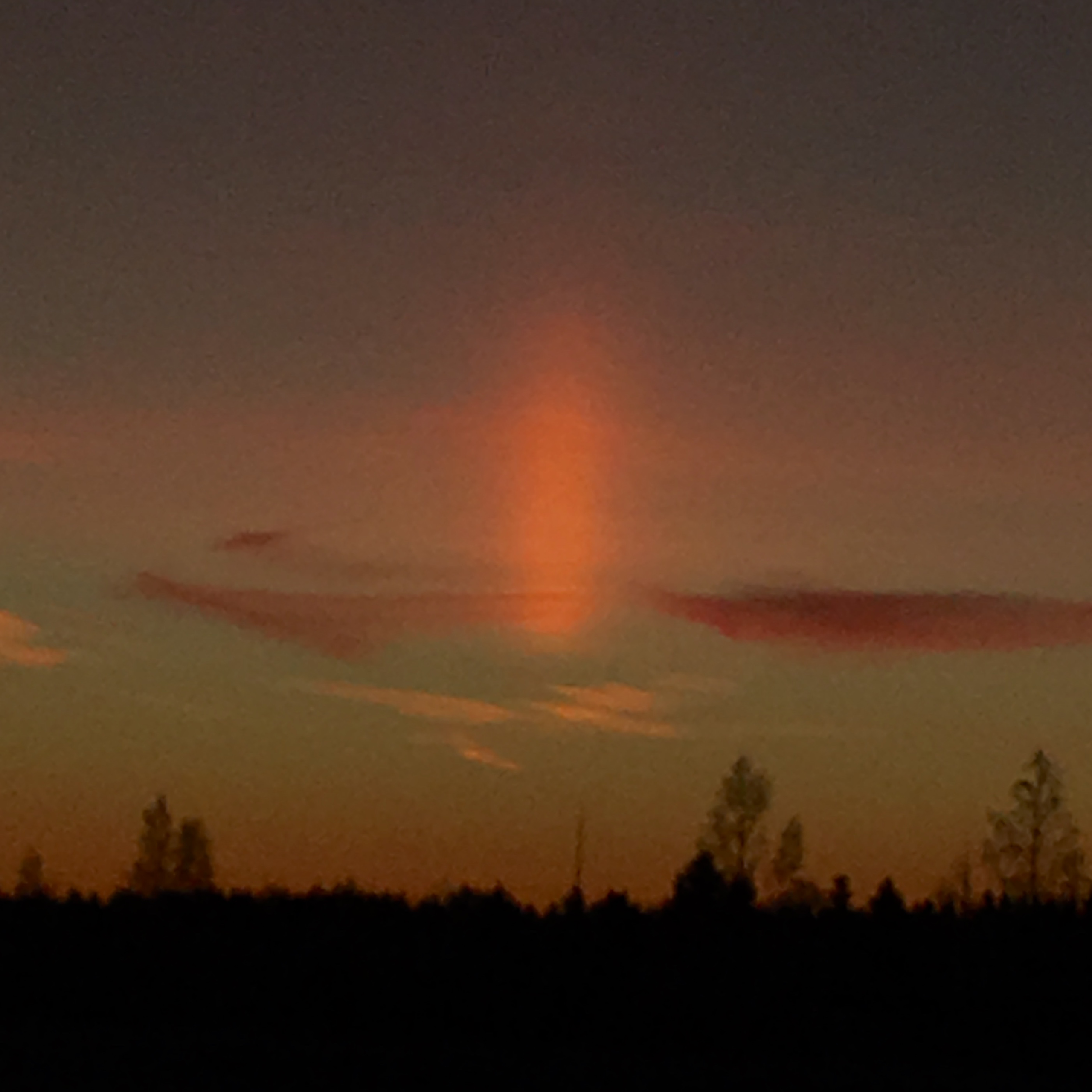 Шмитов Егор