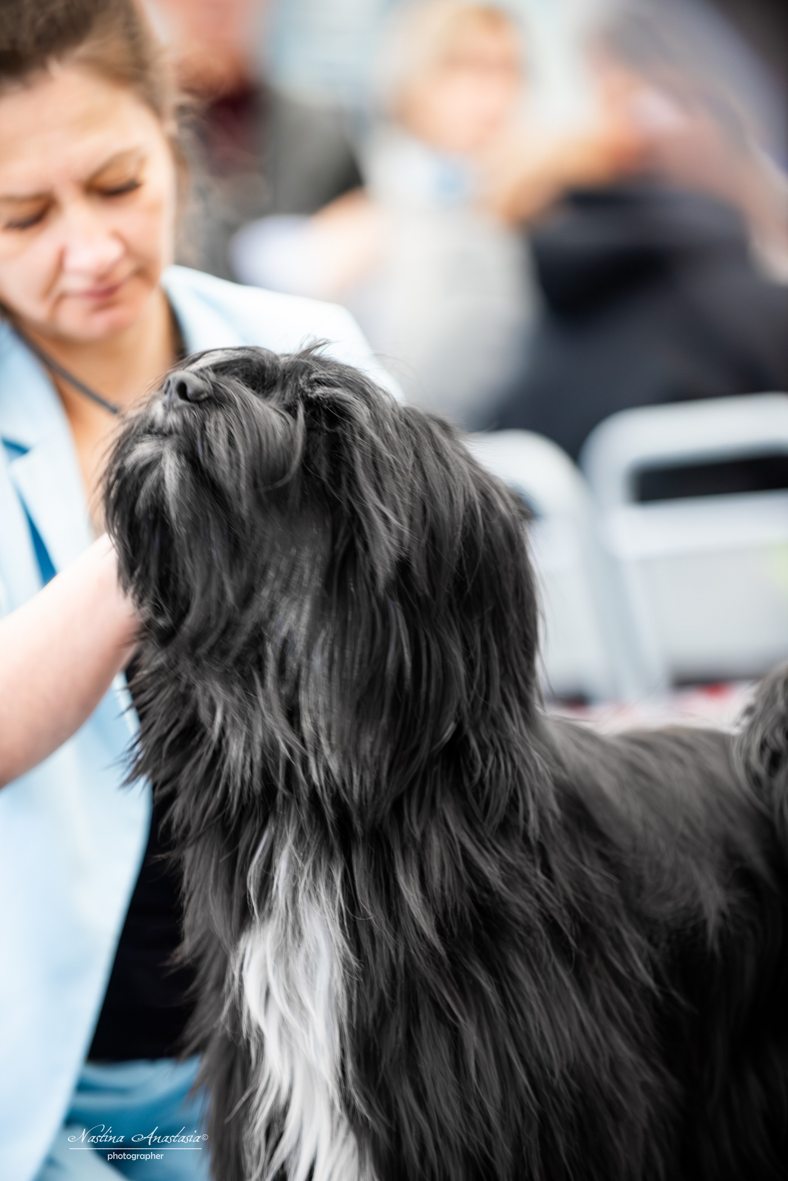 Выставки. Фотограф — Анималист