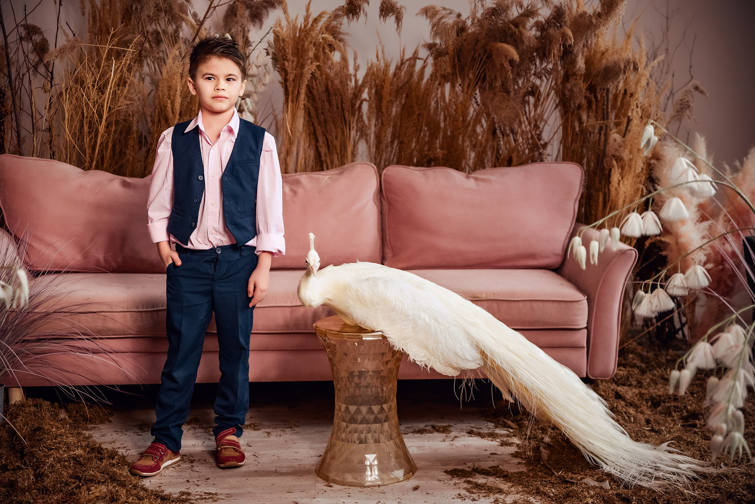 Павлин. Фотограф в Москве Lidiya_Li_Photo