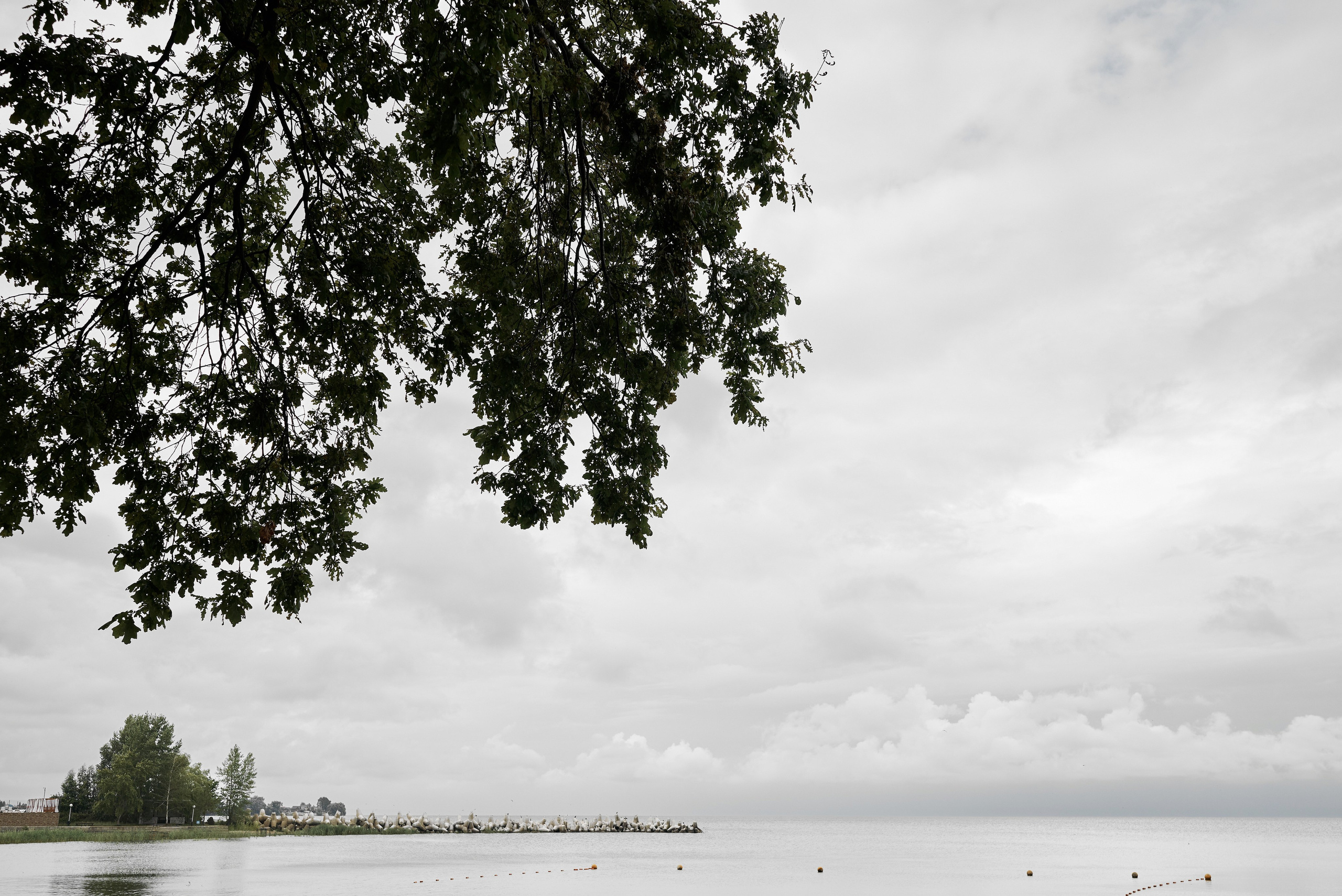 А|Н. Фотограф Михаил Ефремов