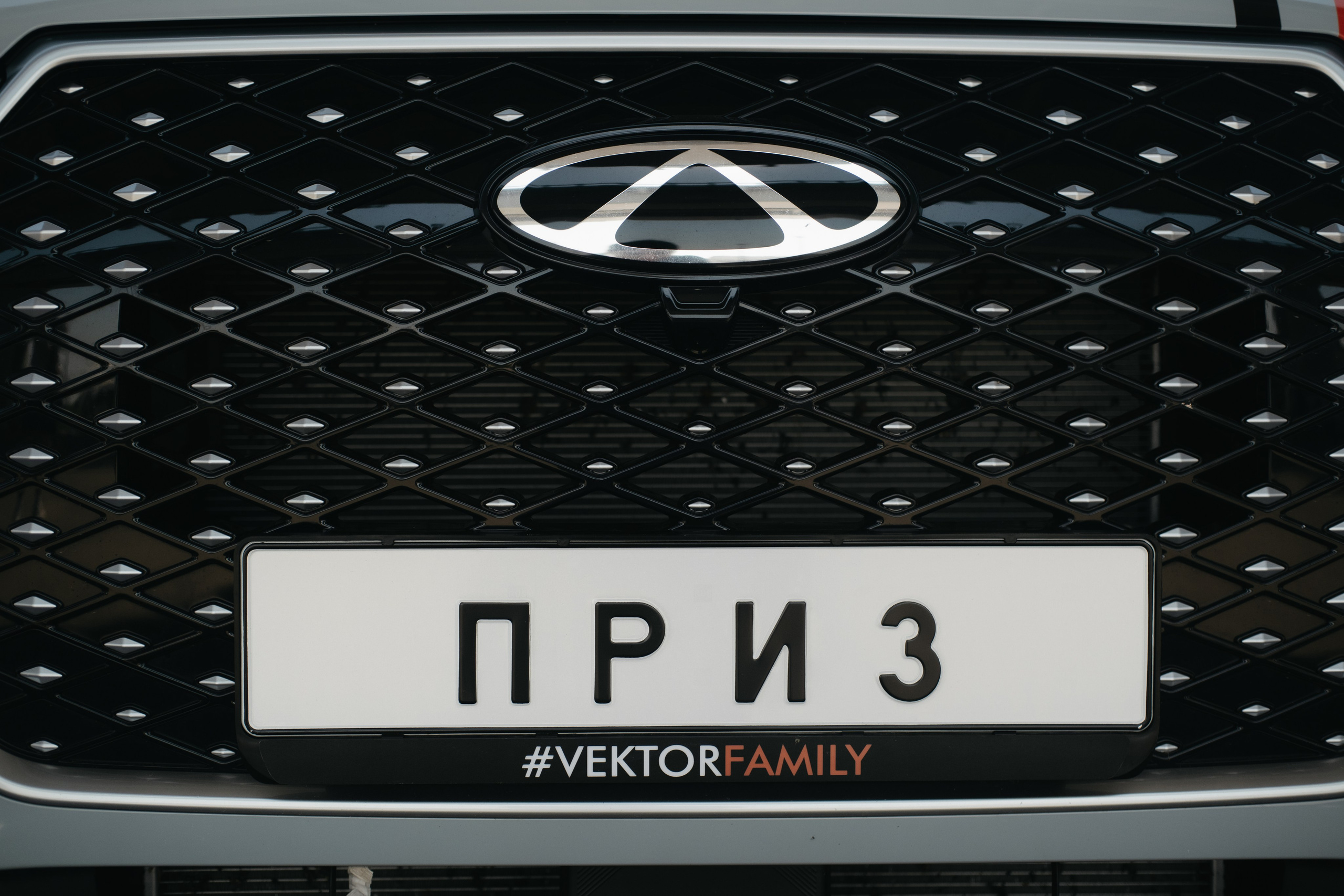 VECTOR FEST. Обо мне