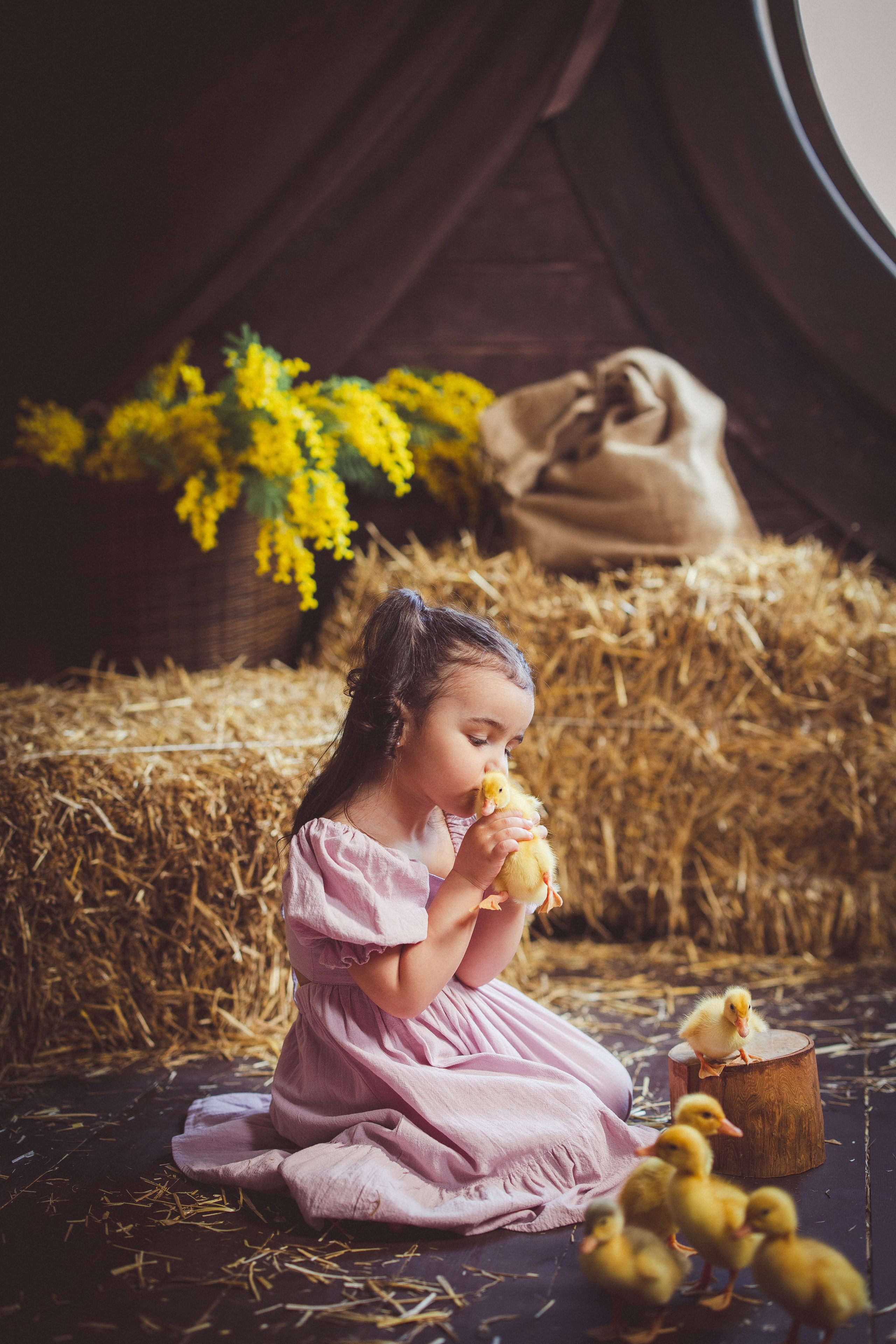 Пасхальный фотопроект с козочкой и утятами, в фотостудии «Эль» 2024 г. Семейный и детский фотограф в Краснодаре Анна Трашкова