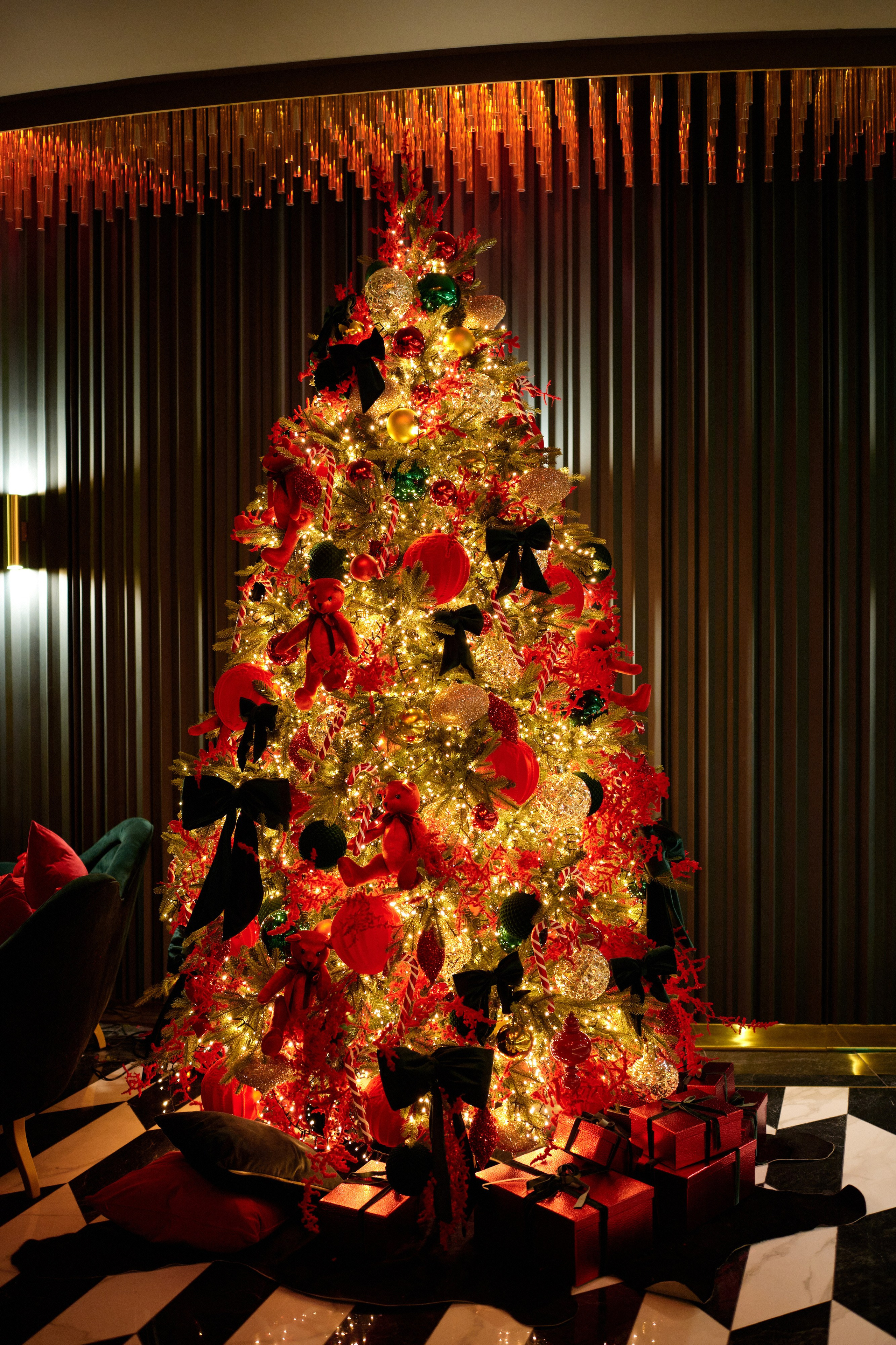 Madison 11.12.2021. Фотограф