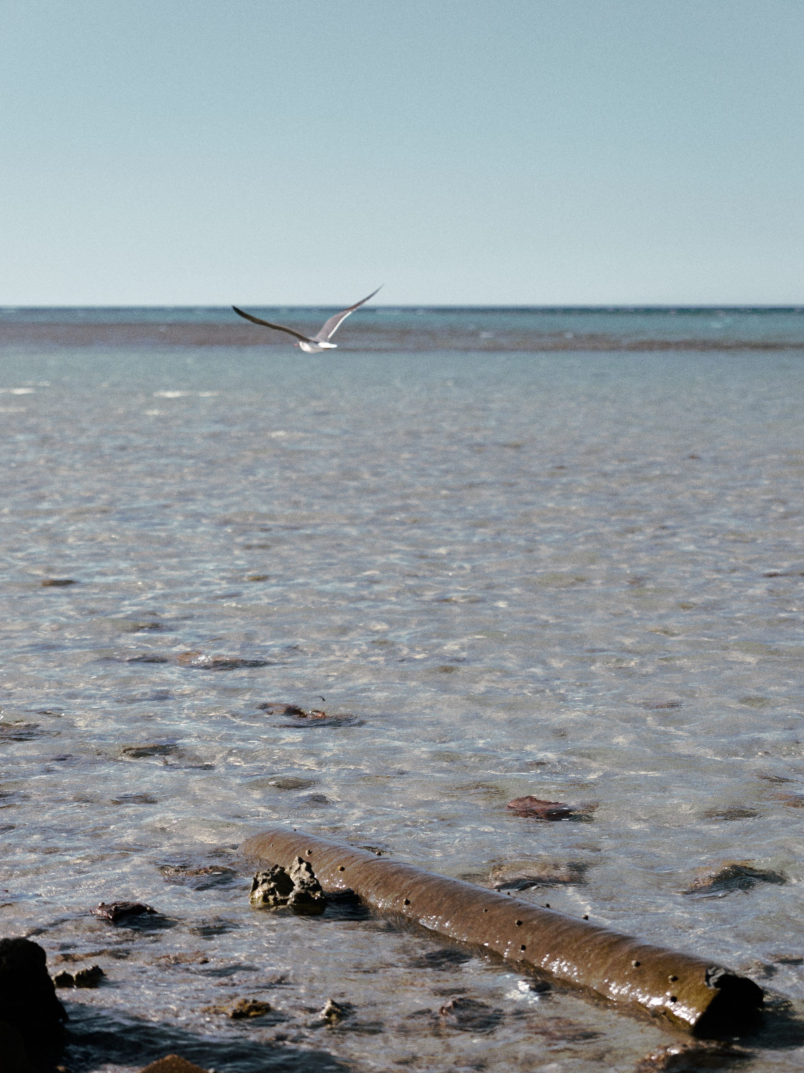 Другое. Jorgis Talè — photographer, kind person, teacher of arts and other mag