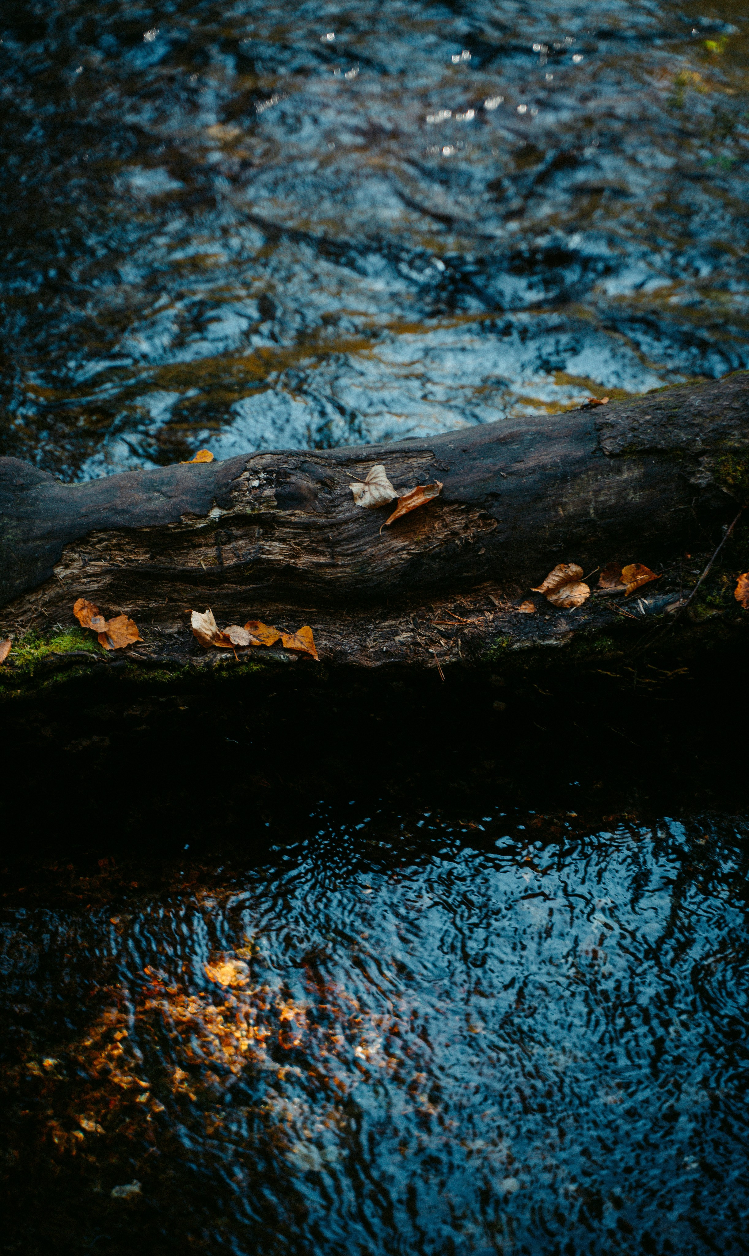 Good Friends Trip / команда локальных путешествий. Саша Копылов, фотограф в Казани