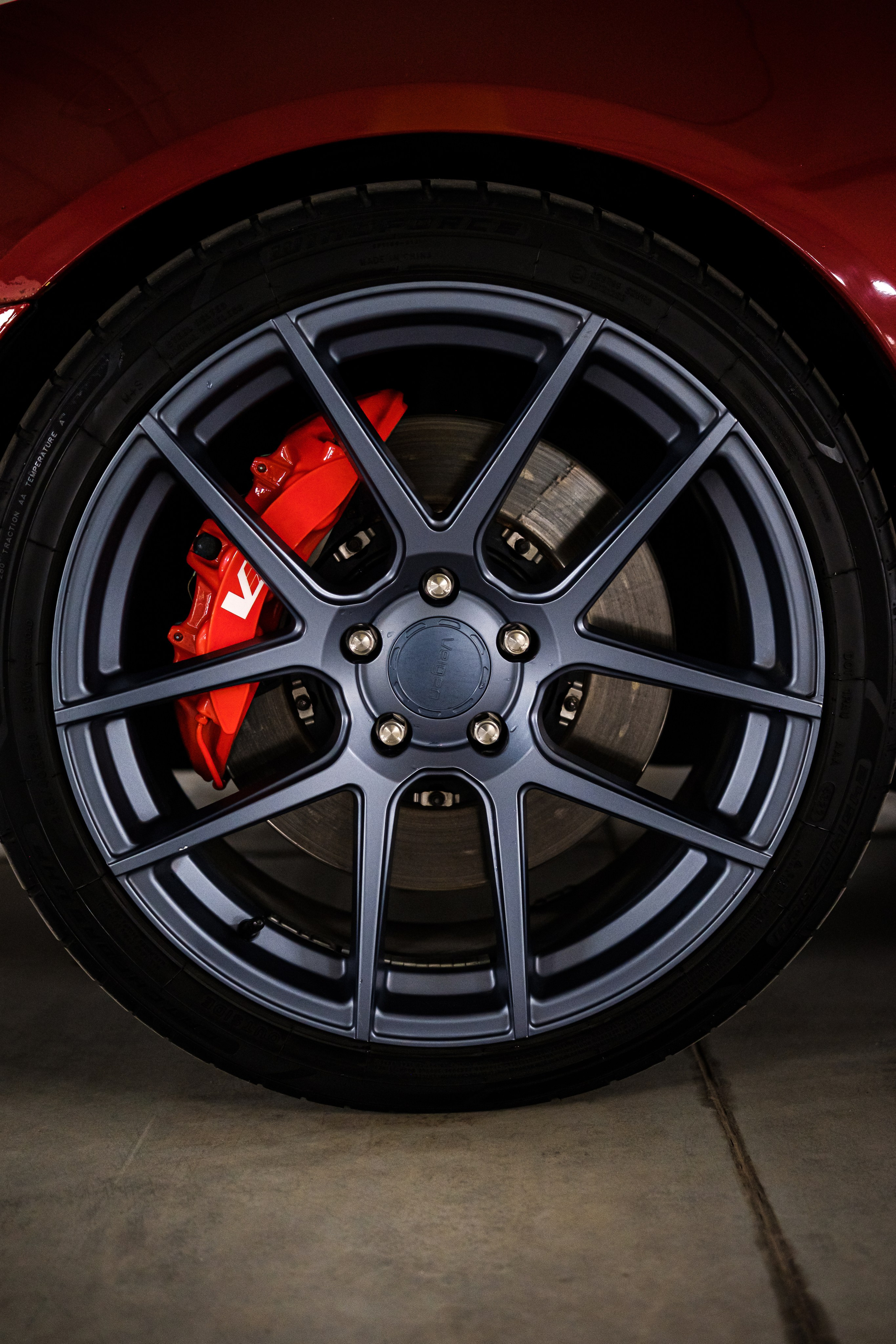 Кэдди. Алексей Никифоров фотограф Москва, Химки